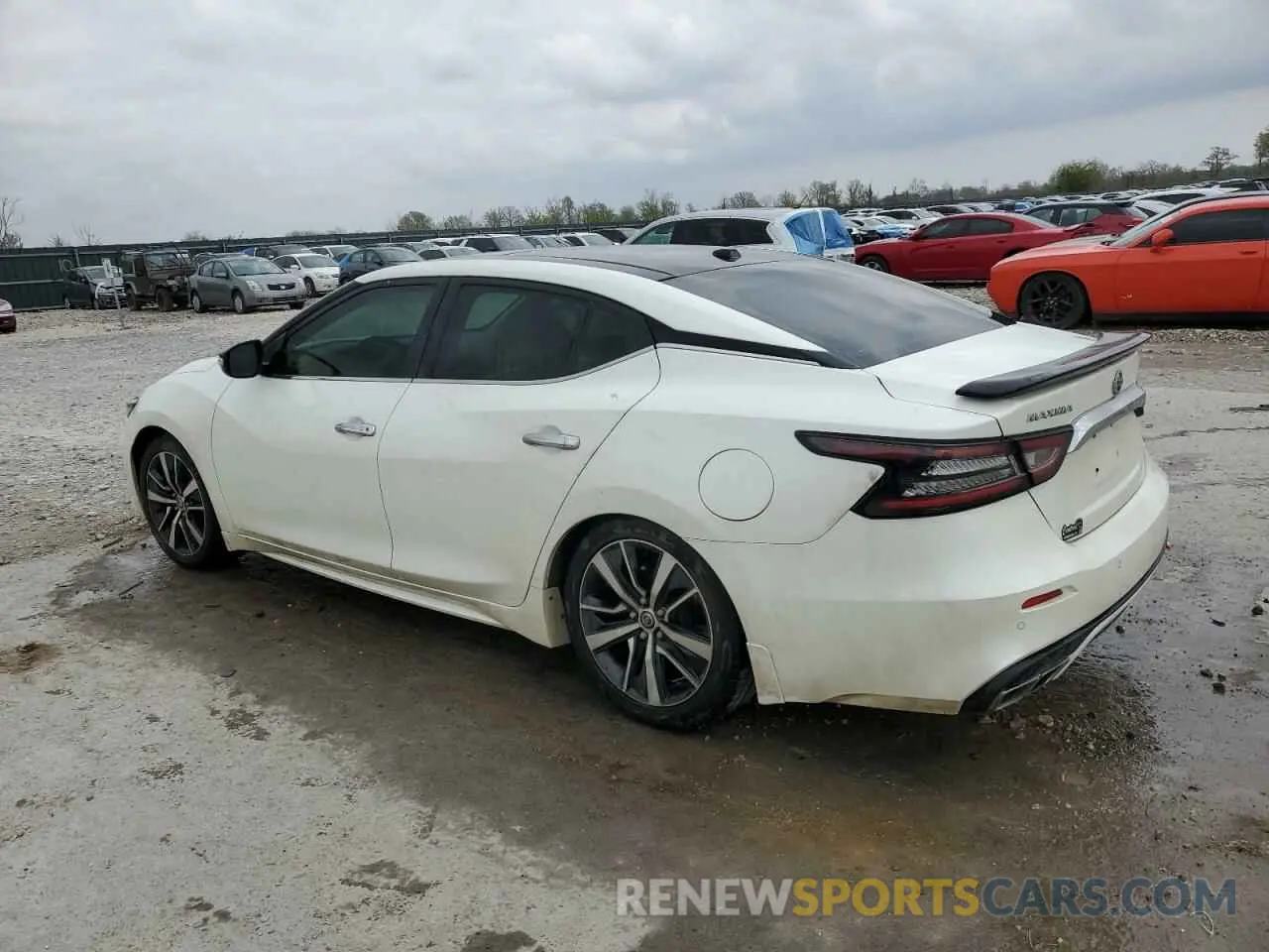 2 fotografías del automóvil dañado 1N4AA6AV7KC372540 NISSAN MAXIMA 2019