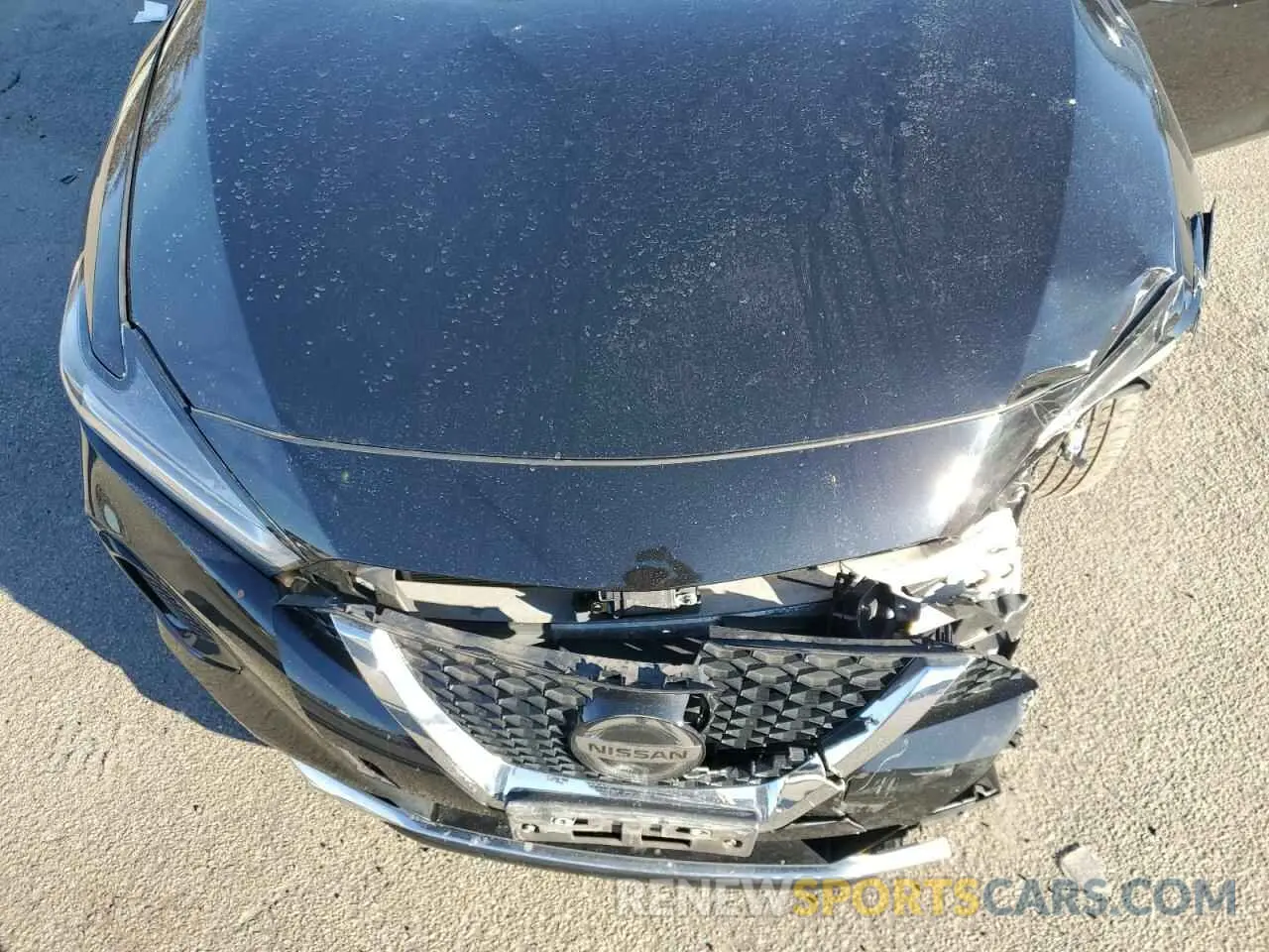 13 fotografías del automóvil dañado 1N4AA6AV7KC375566 NISSAN MAXIMA 2019