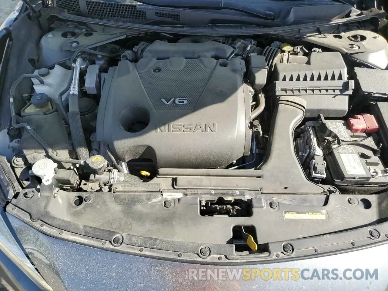 12 fotografías del automóvil dañado 1N4AA6AV7KC381982 NISSAN MAXIMA 2019