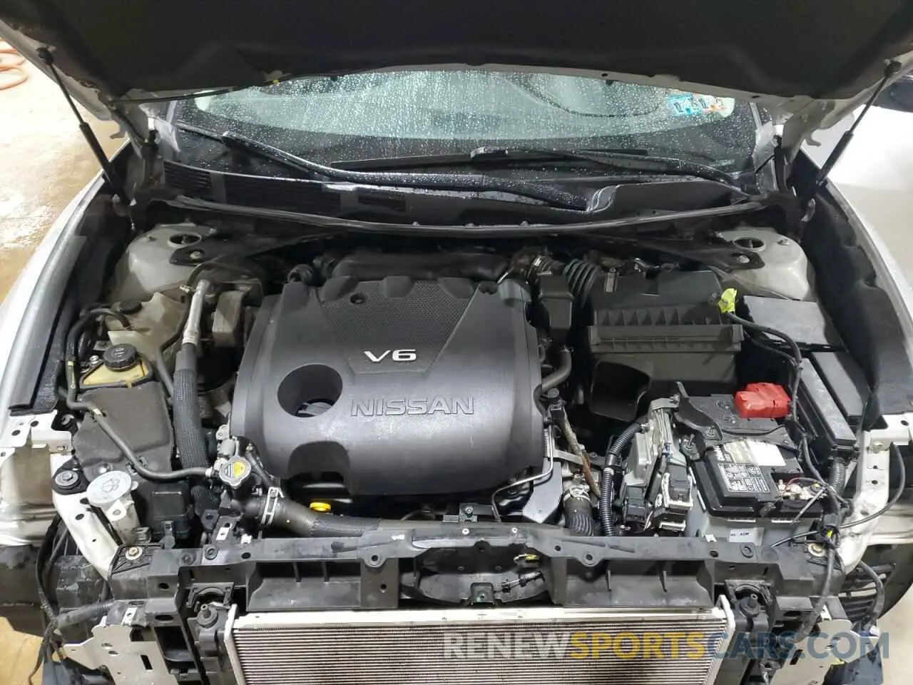 11 fotografías del automóvil dañado 1N4AA6AV8KC366441 NISSAN MAXIMA 2019