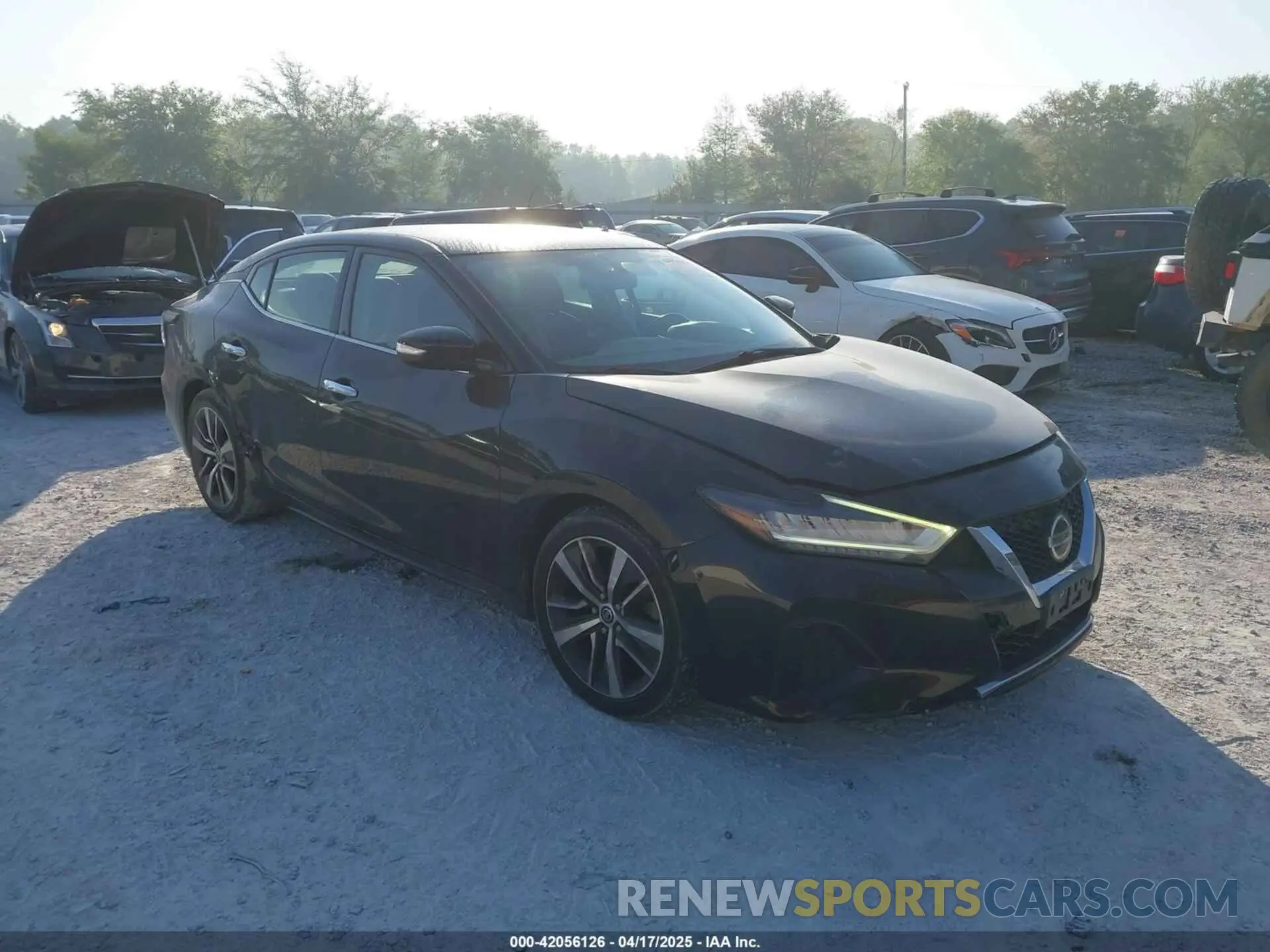 1 fotografías del automóvil dañado 1N4AA6AV8KC376936 NISSAN MAXIMA 2019