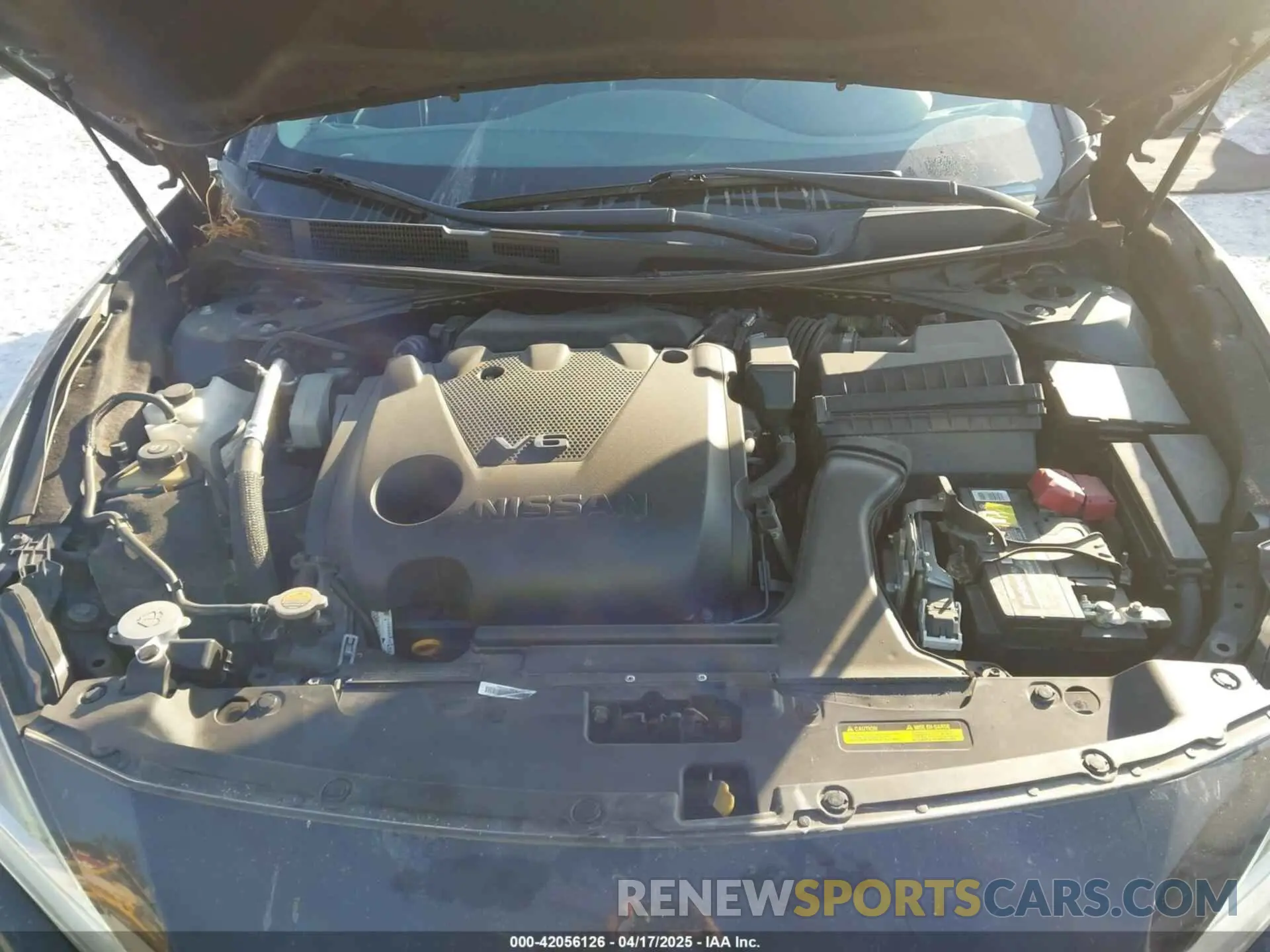 10 fotografías del automóvil dañado 1N4AA6AV8KC376936 NISSAN MAXIMA 2019