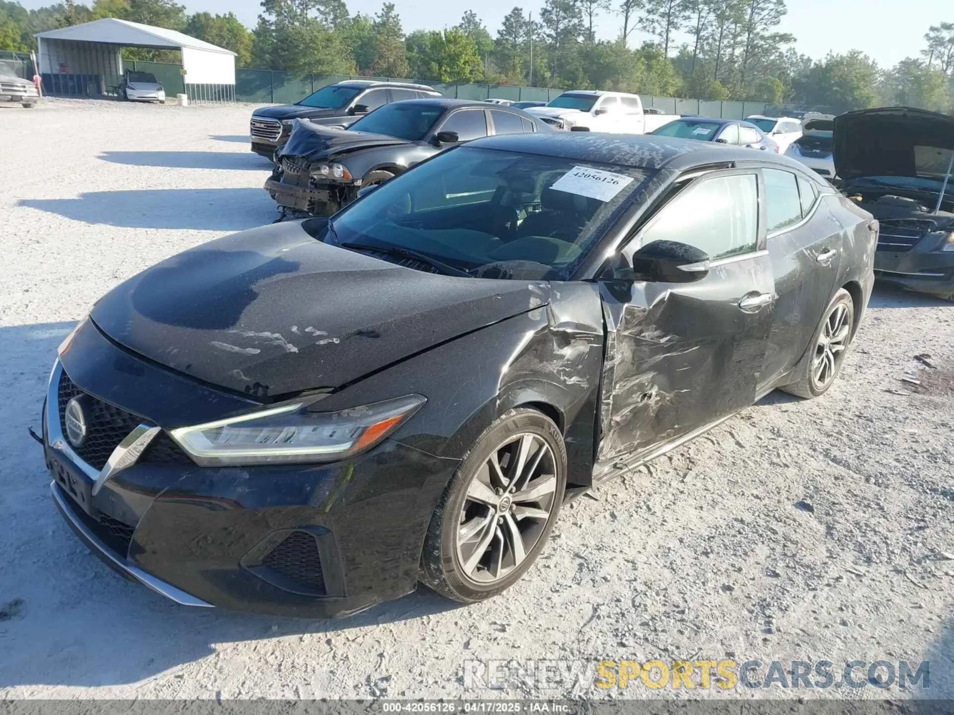 2 fotografías del automóvil dañado 1N4AA6AV8KC376936 NISSAN MAXIMA 2019