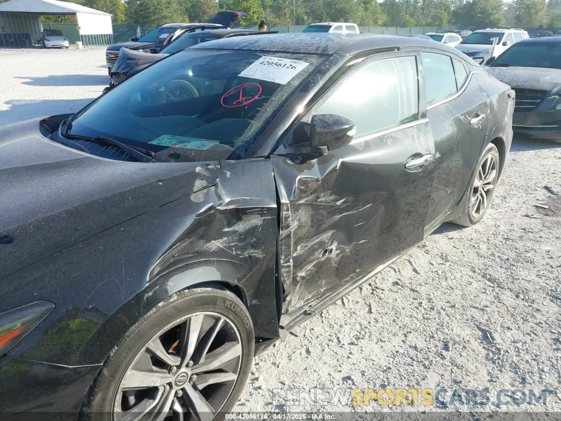 6 fotografías del automóvil dañado 1N4AA6AV8KC376936 NISSAN MAXIMA 2019