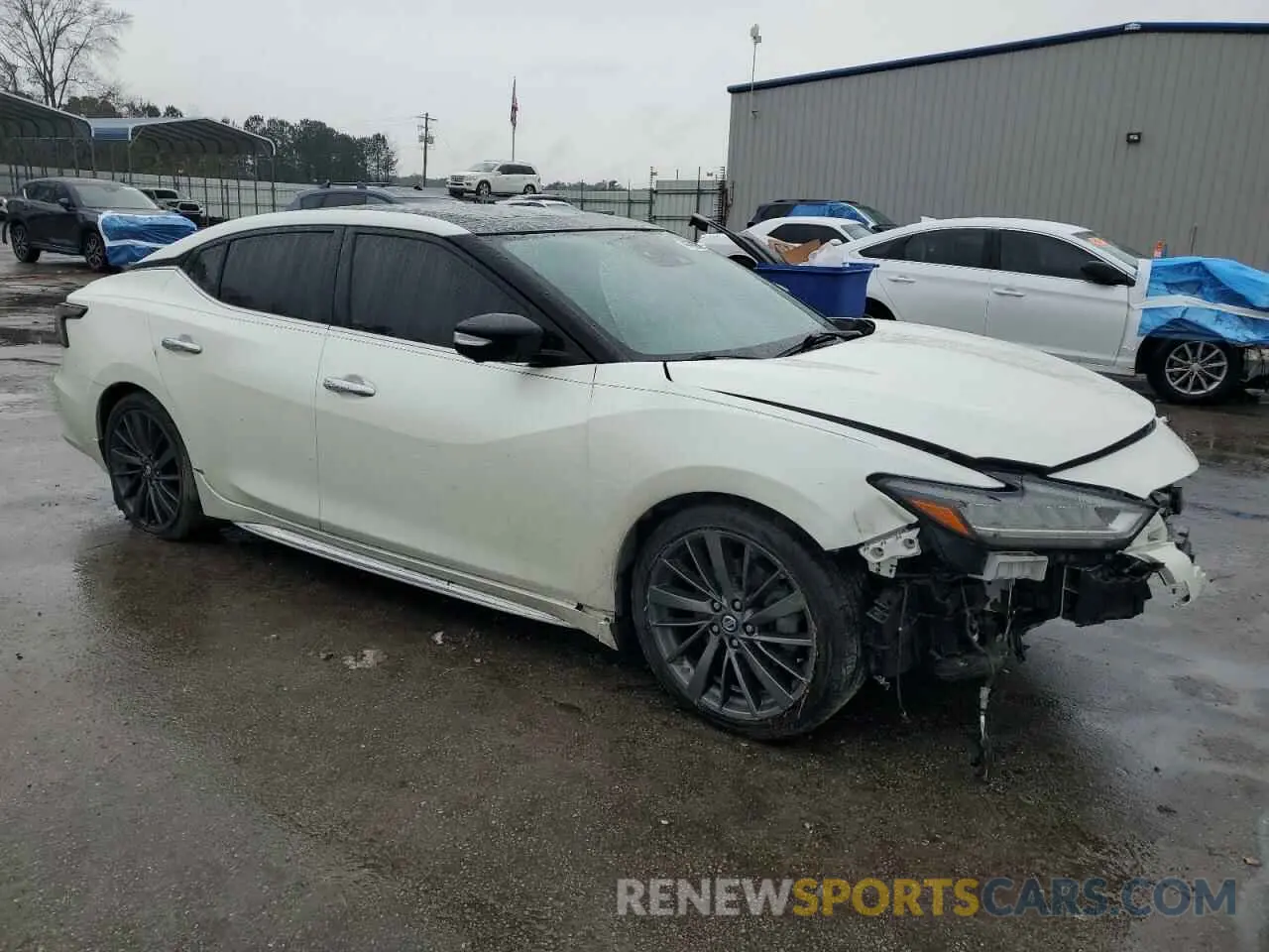 4 fotografías del automóvil dañado 1N4AA6AV8KC384230 NISSAN MAXIMA 2019