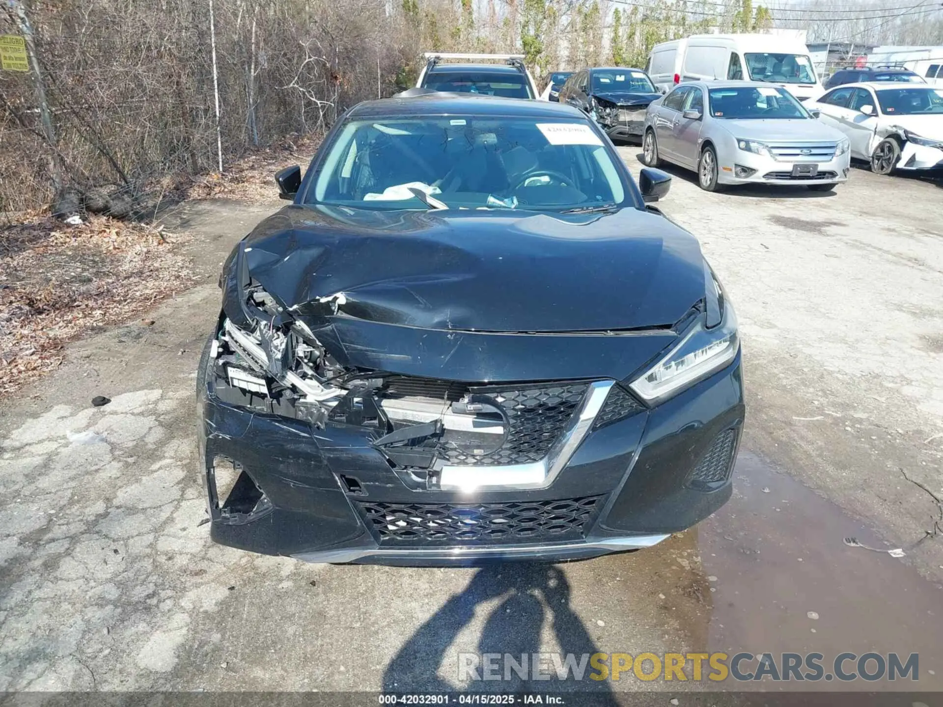 12 fotografías del automóvil dañado 1N4AA6AV9KC373303 NISSAN MAXIMA 2019