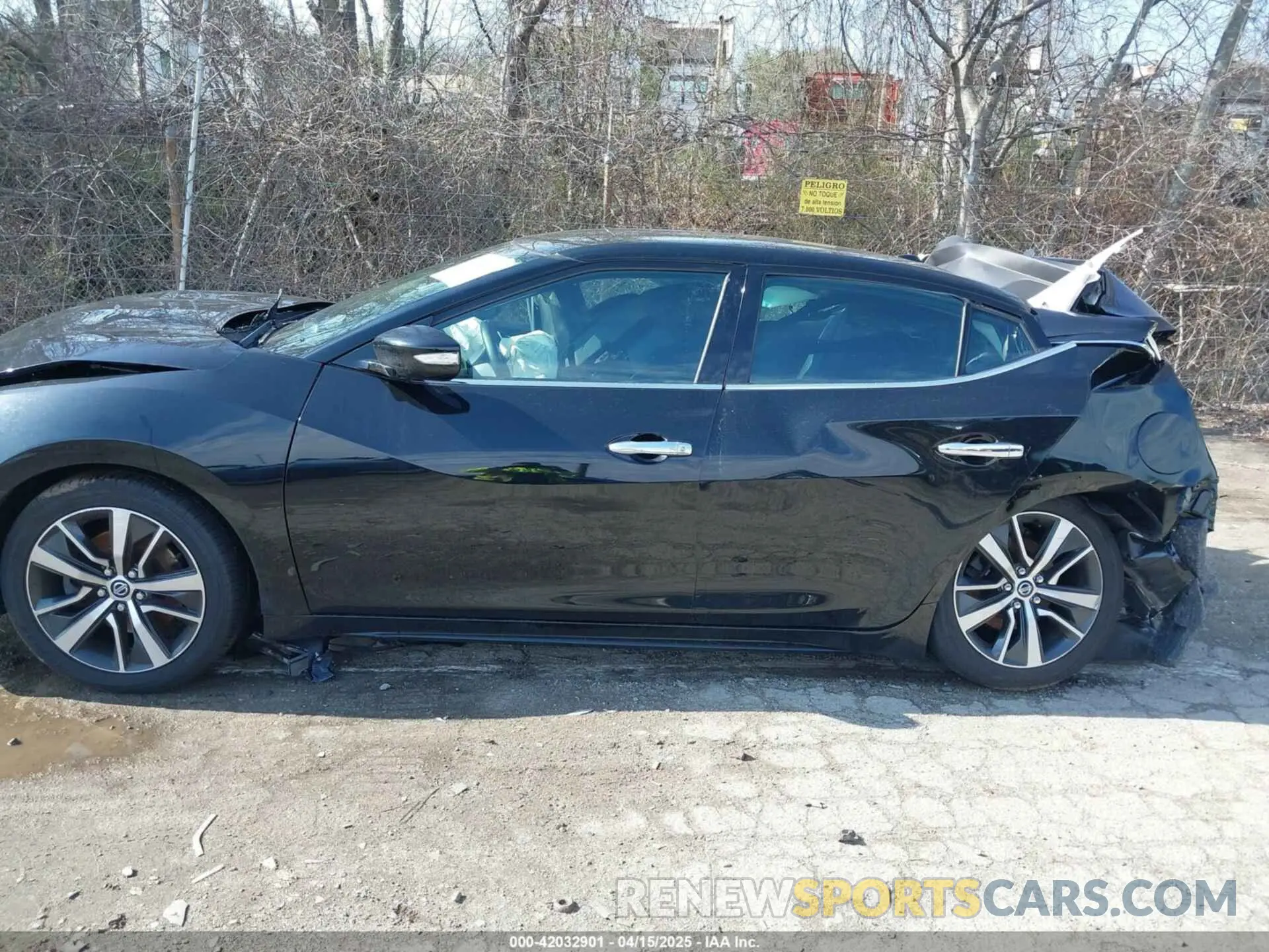 14 fotografías del automóvil dañado 1N4AA6AV9KC373303 NISSAN MAXIMA 2019