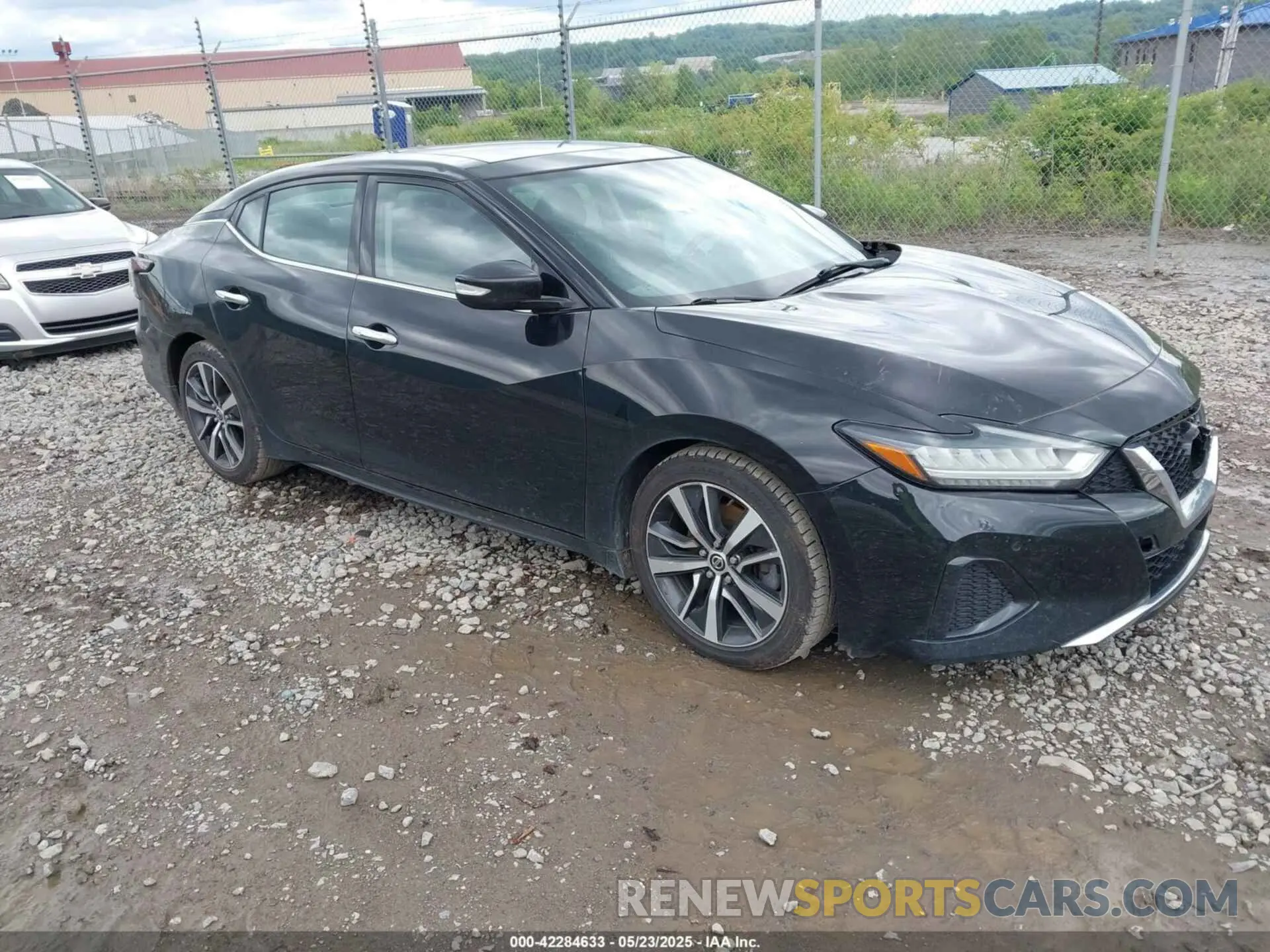 1 fotografías del automóvil dañado 1N4AA6AV9KC378078 NISSAN MAXIMA 2019