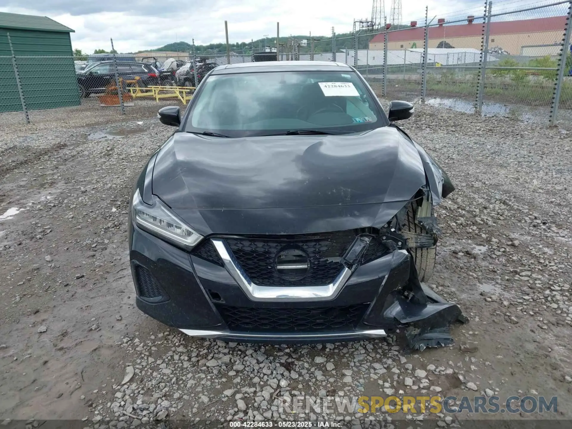 12 fotografías del automóvil dañado 1N4AA6AV9KC378078 NISSAN MAXIMA 2019