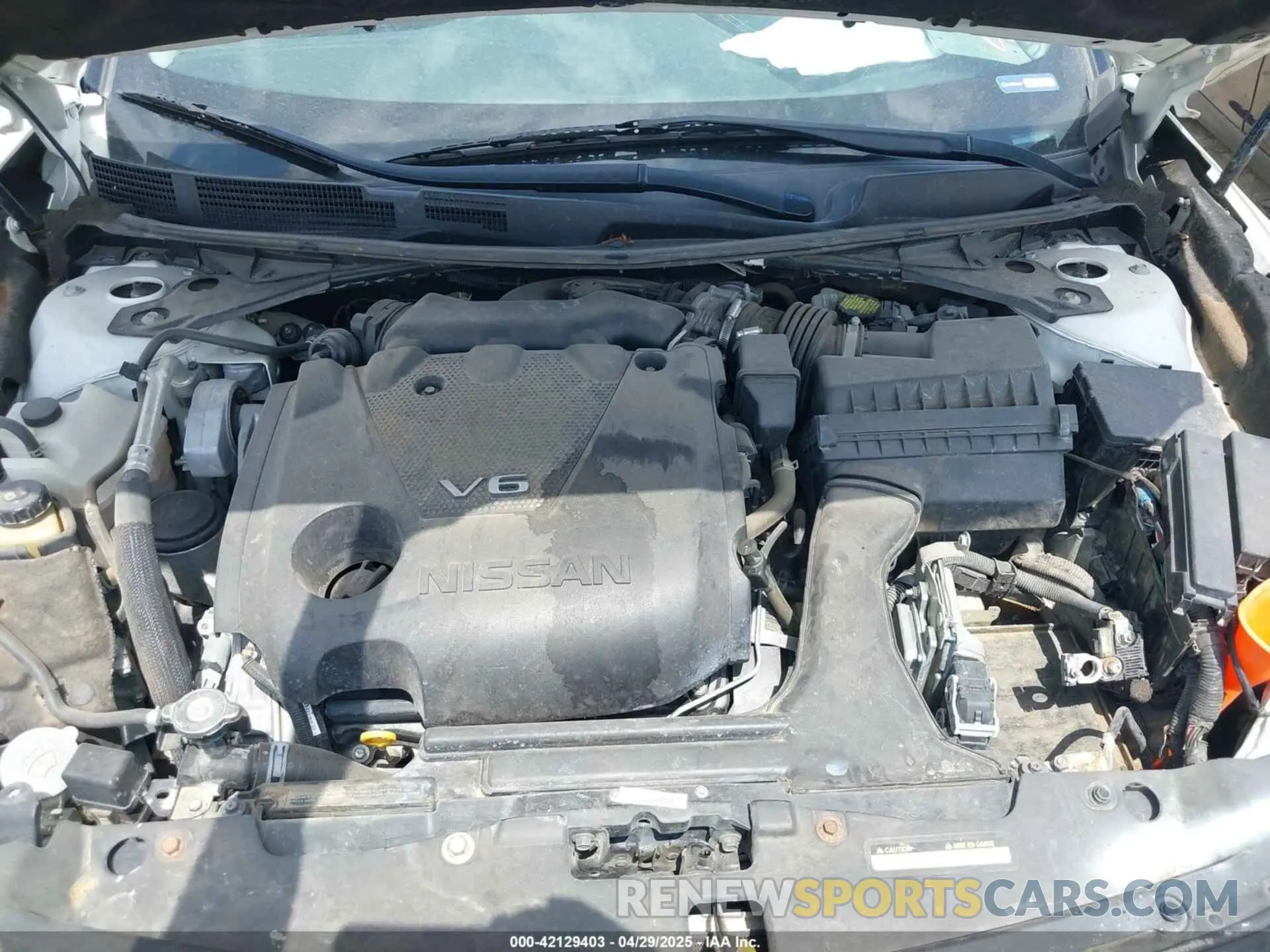 10 fotografías del automóvil dañado 1N4AA6AVXKC370667 NISSAN MAXIMA 2019