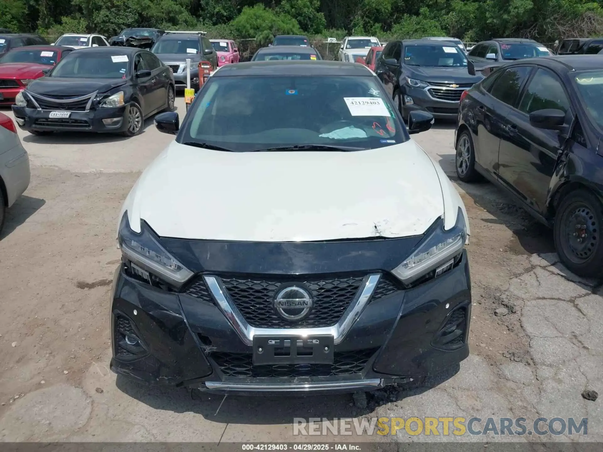 12 fotografías del automóvil dañado 1N4AA6AVXKC370667 NISSAN MAXIMA 2019
