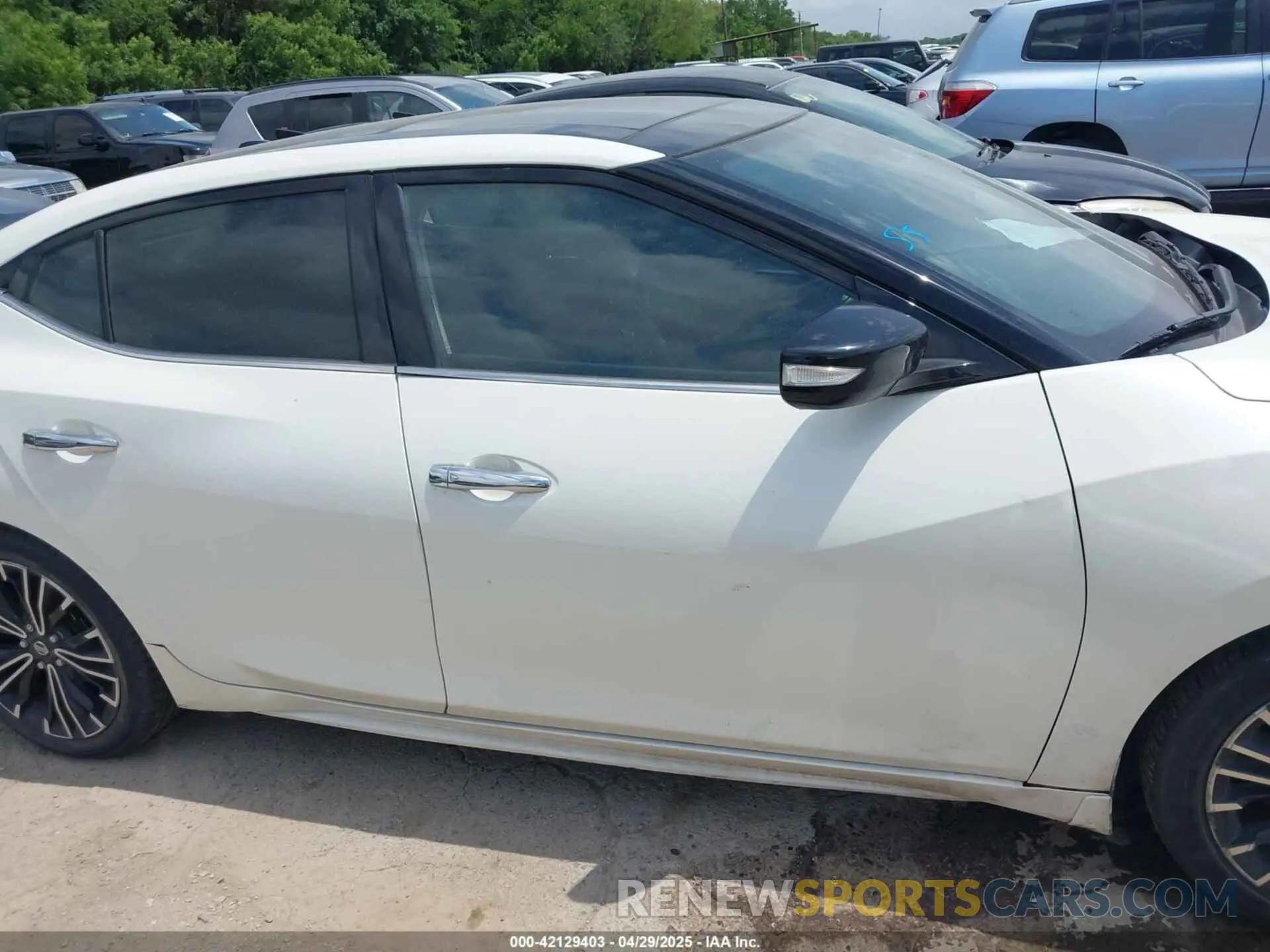 13 fotografías del automóvil dañado 1N4AA6AVXKC370667 NISSAN MAXIMA 2019