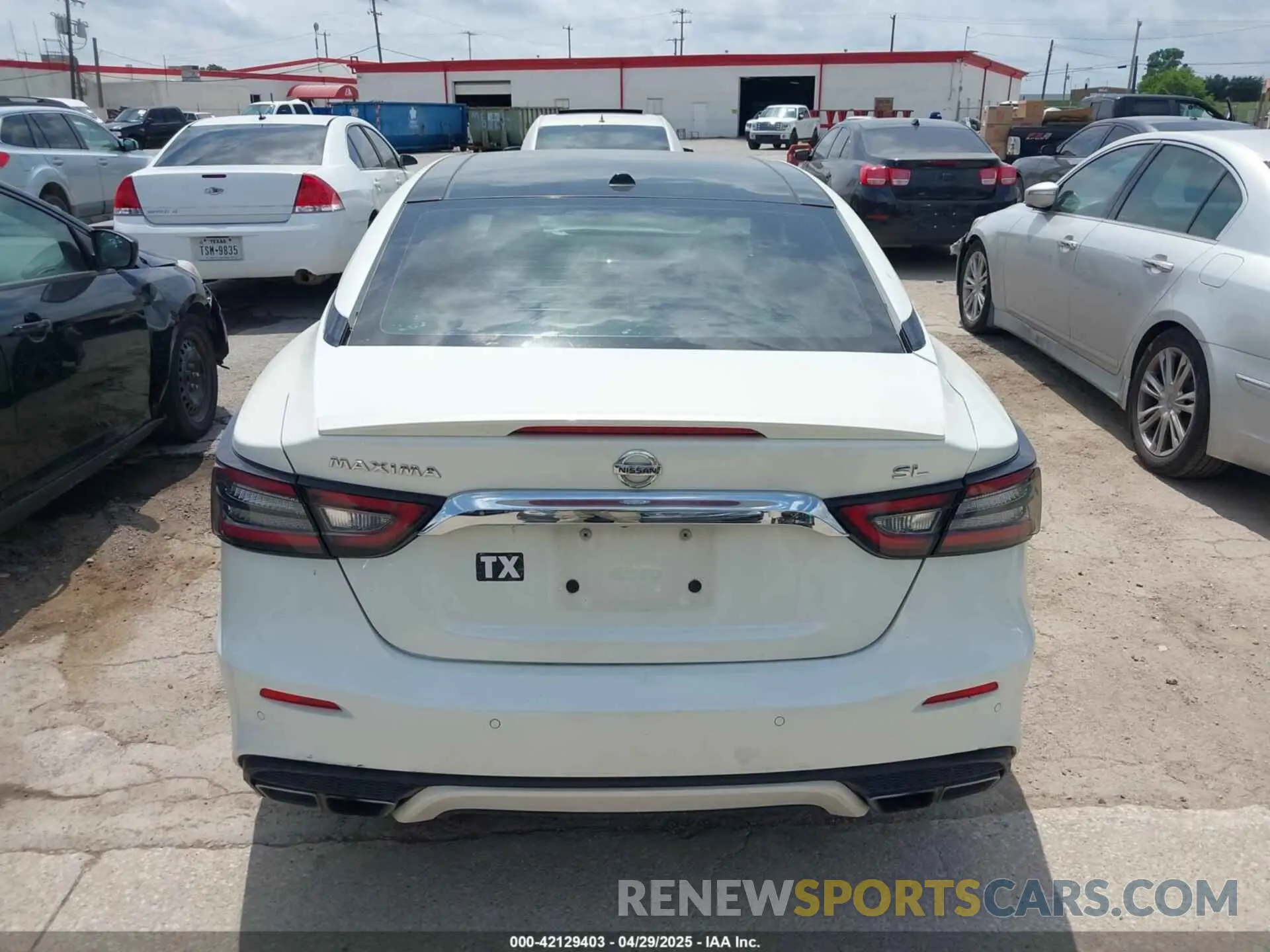 16 fotografías del automóvil dañado 1N4AA6AVXKC370667 NISSAN MAXIMA 2019