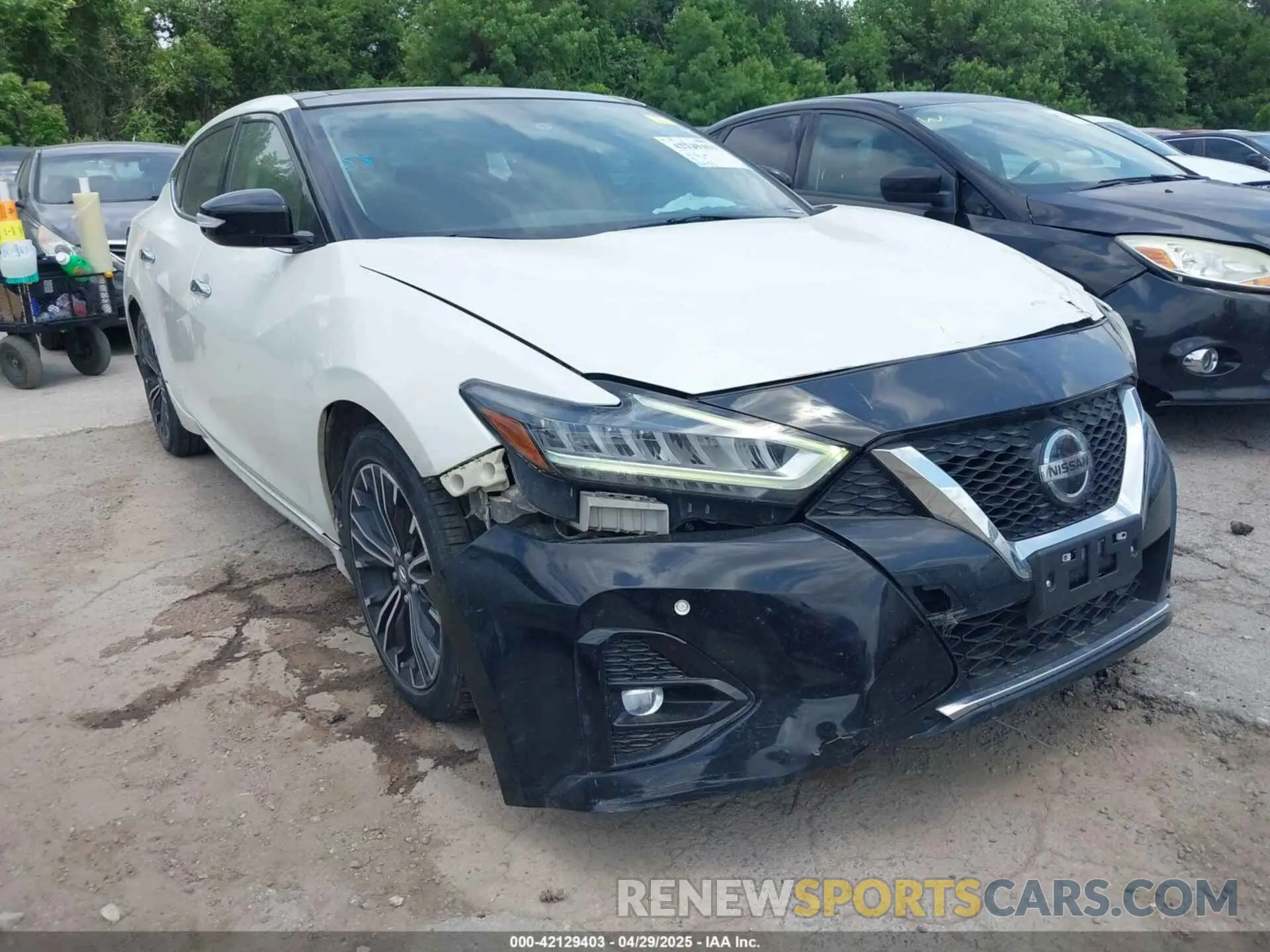 6 fotografías del automóvil dañado 1N4AA6AVXKC370667 NISSAN MAXIMA 2019