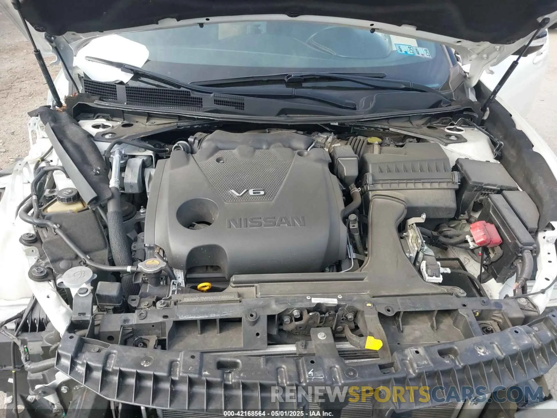 10 fotografías del automóvil dañado 1N4AA6AVXKC381023 NISSAN MAXIMA 2019