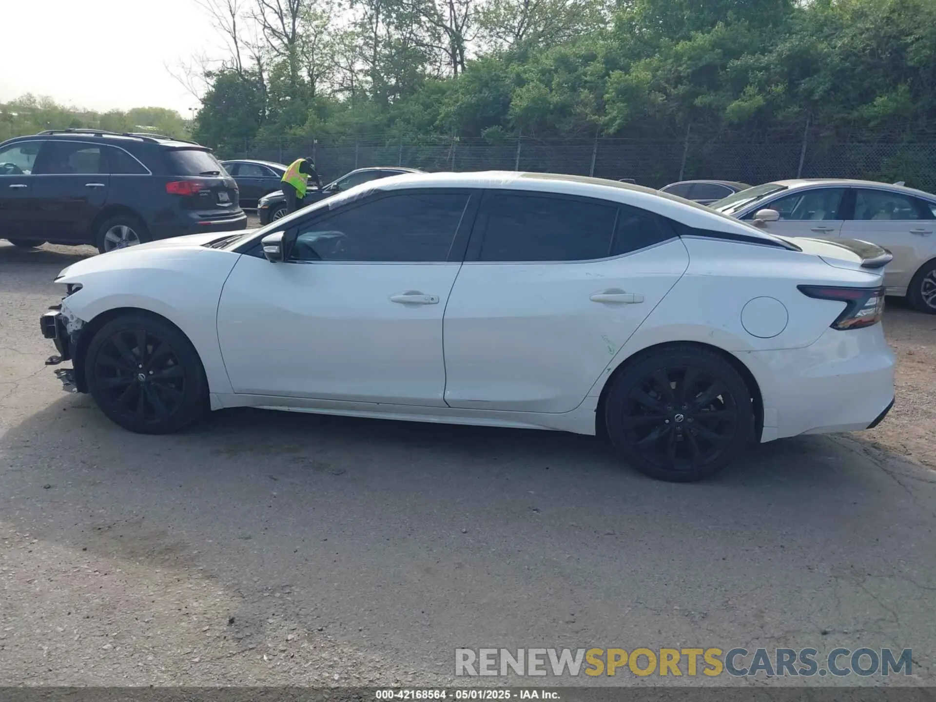15 fotografías del automóvil dañado 1N4AA6AVXKC381023 NISSAN MAXIMA 2019