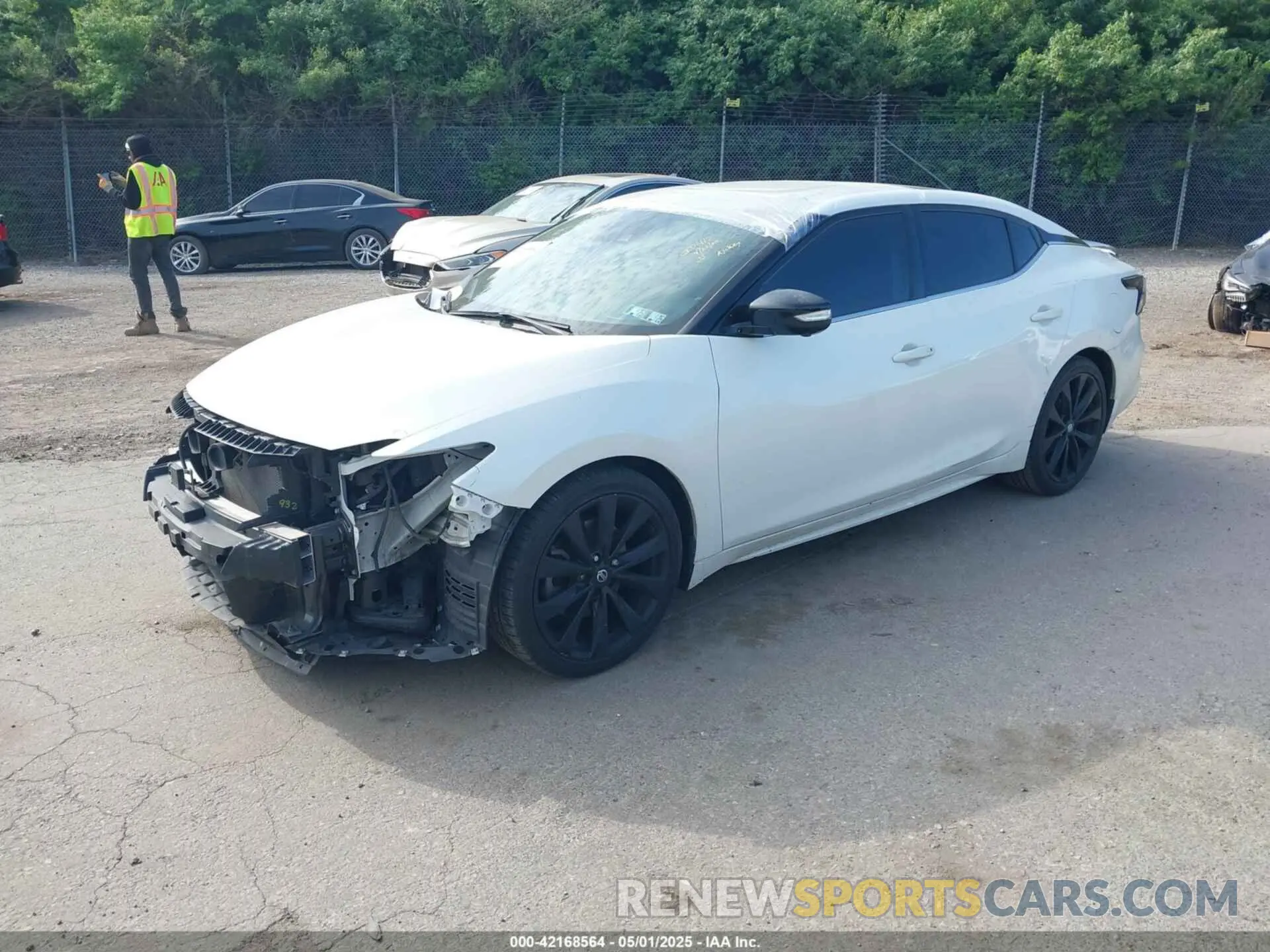2 fotografías del automóvil dañado 1N4AA6AVXKC381023 NISSAN MAXIMA 2019