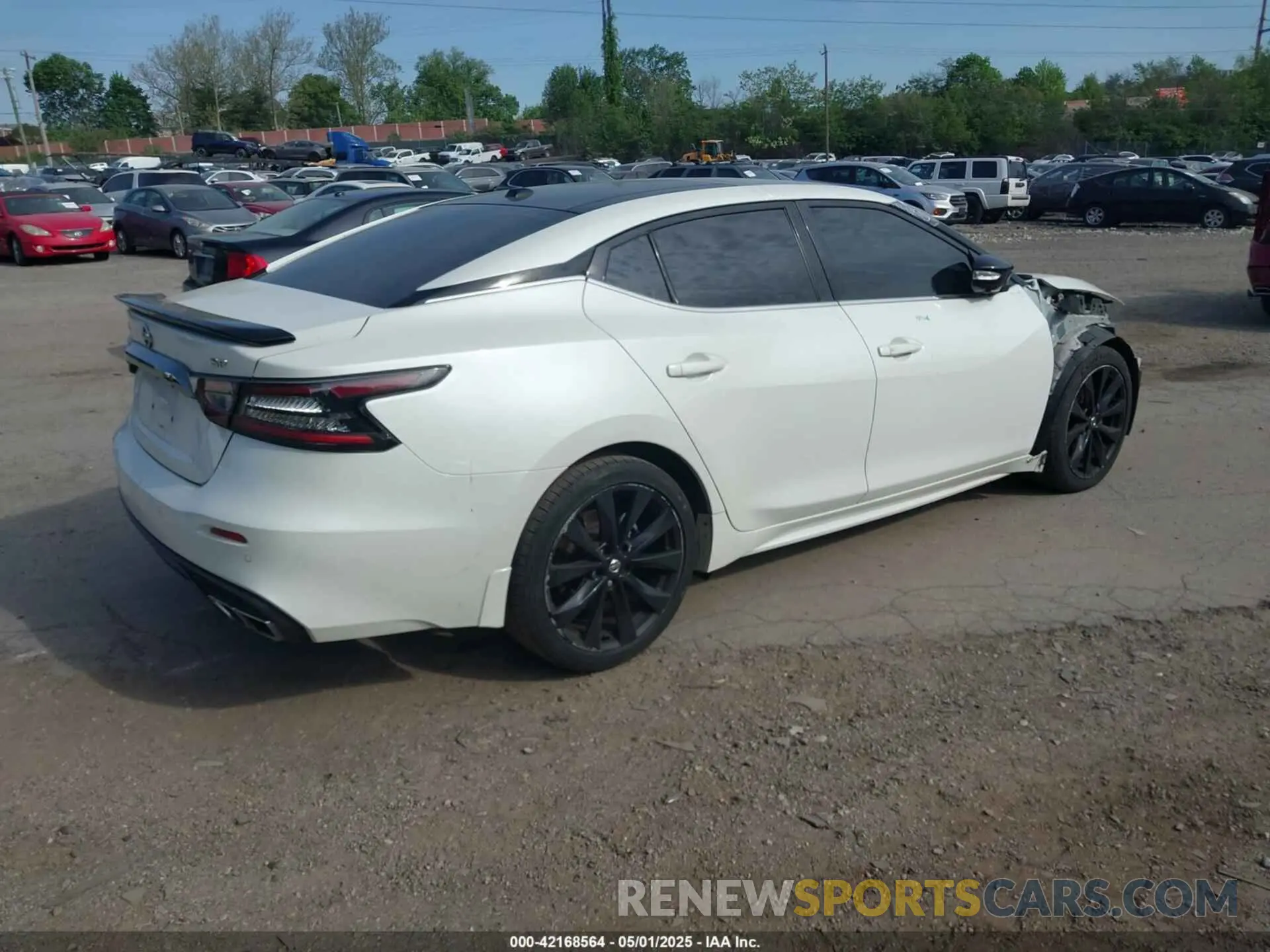 4 fotografías del automóvil dañado 1N4AA6AVXKC381023 NISSAN MAXIMA 2019