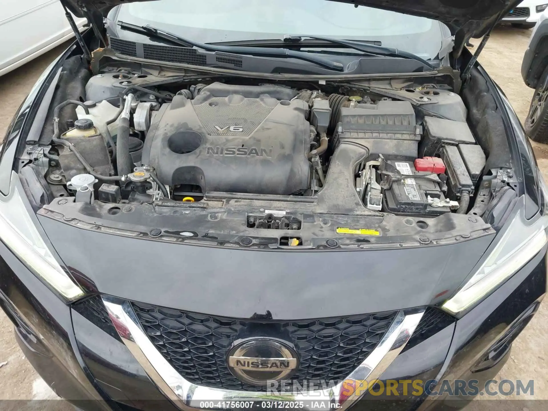 10 fotografías del automóvil dañado 1N4AA6AVXKC384259 NISSAN MAXIMA 2019
