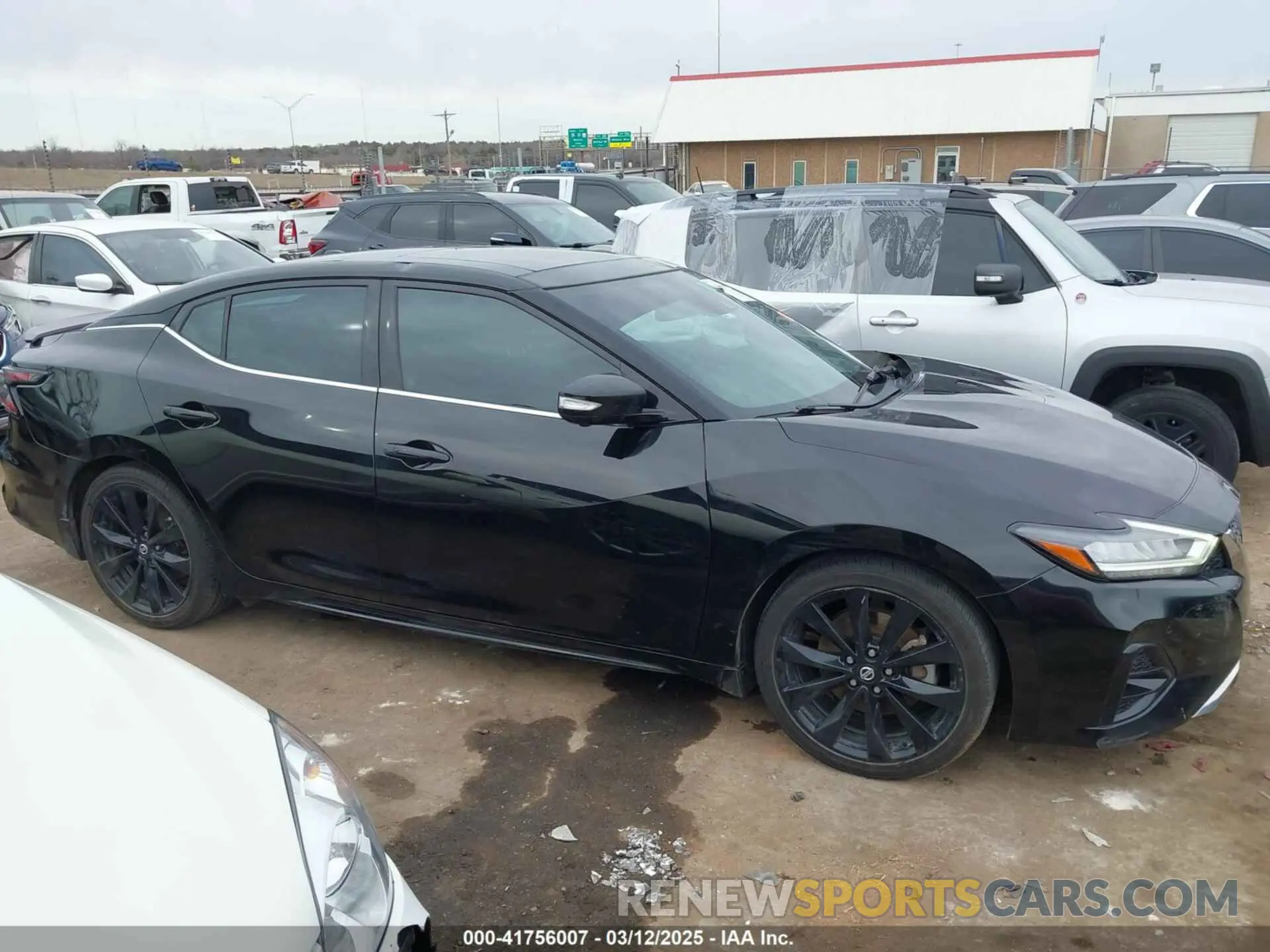13 fotografías del automóvil dañado 1N4AA6AVXKC384259 NISSAN MAXIMA 2019