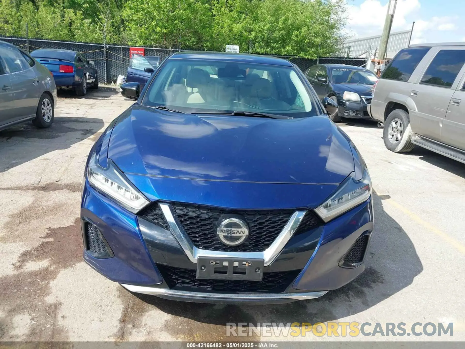12 fotografías del automóvil dañado 1N4AA6CV0LC381465 NISSAN MAXIMA 2020