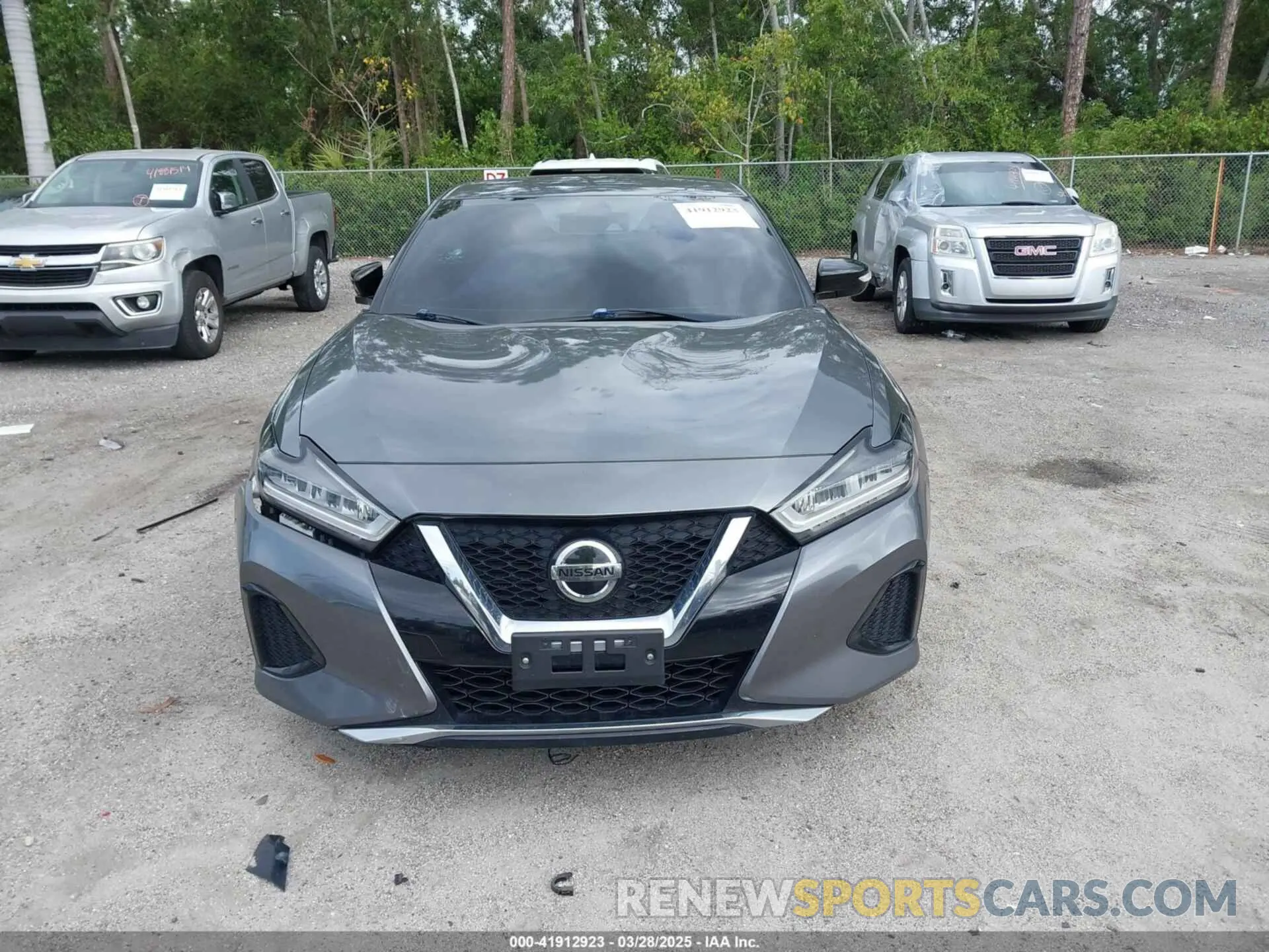 12 fotografías del automóvil dañado 1N4AA6CV1LC377182 NISSAN MAXIMA 2020