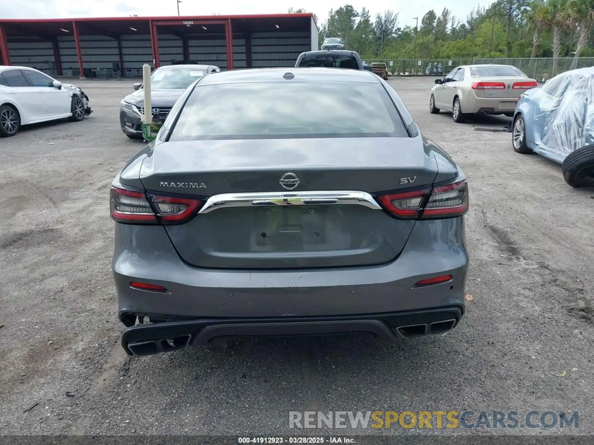 16 fotografías del automóvil dañado 1N4AA6CV1LC377182 NISSAN MAXIMA 2020