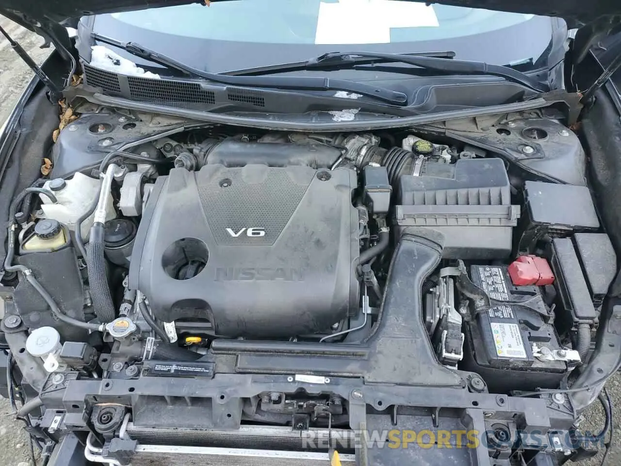 11 fotografías del automóvil dañado 1N4AA6CV8LC372304 NISSAN MAXIMA 2020