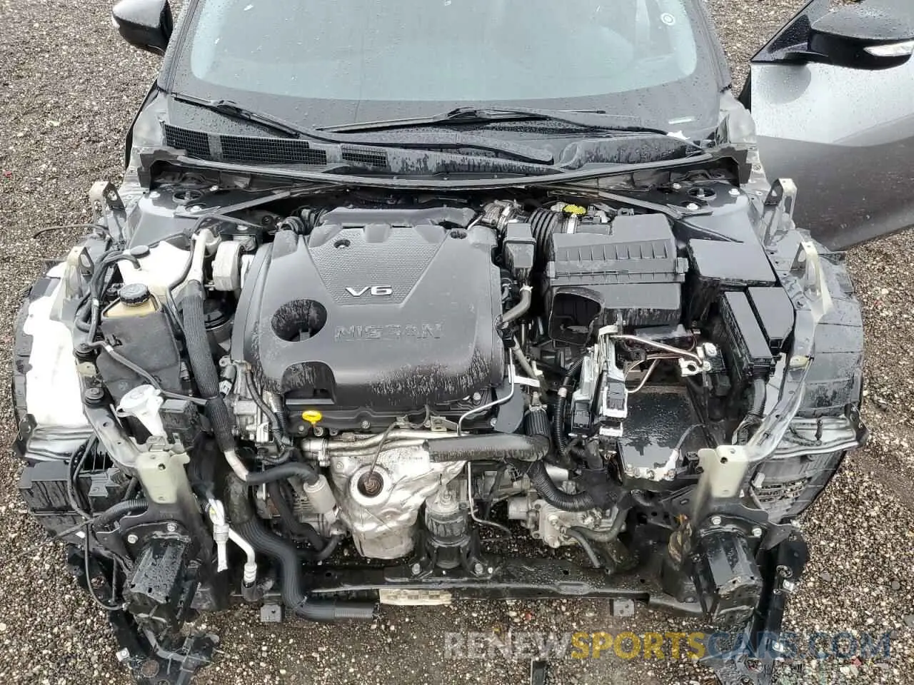 12 fotografías del automóvil dañado 1N4AA6CV9LC364275 NISSAN MAXIMA 2020