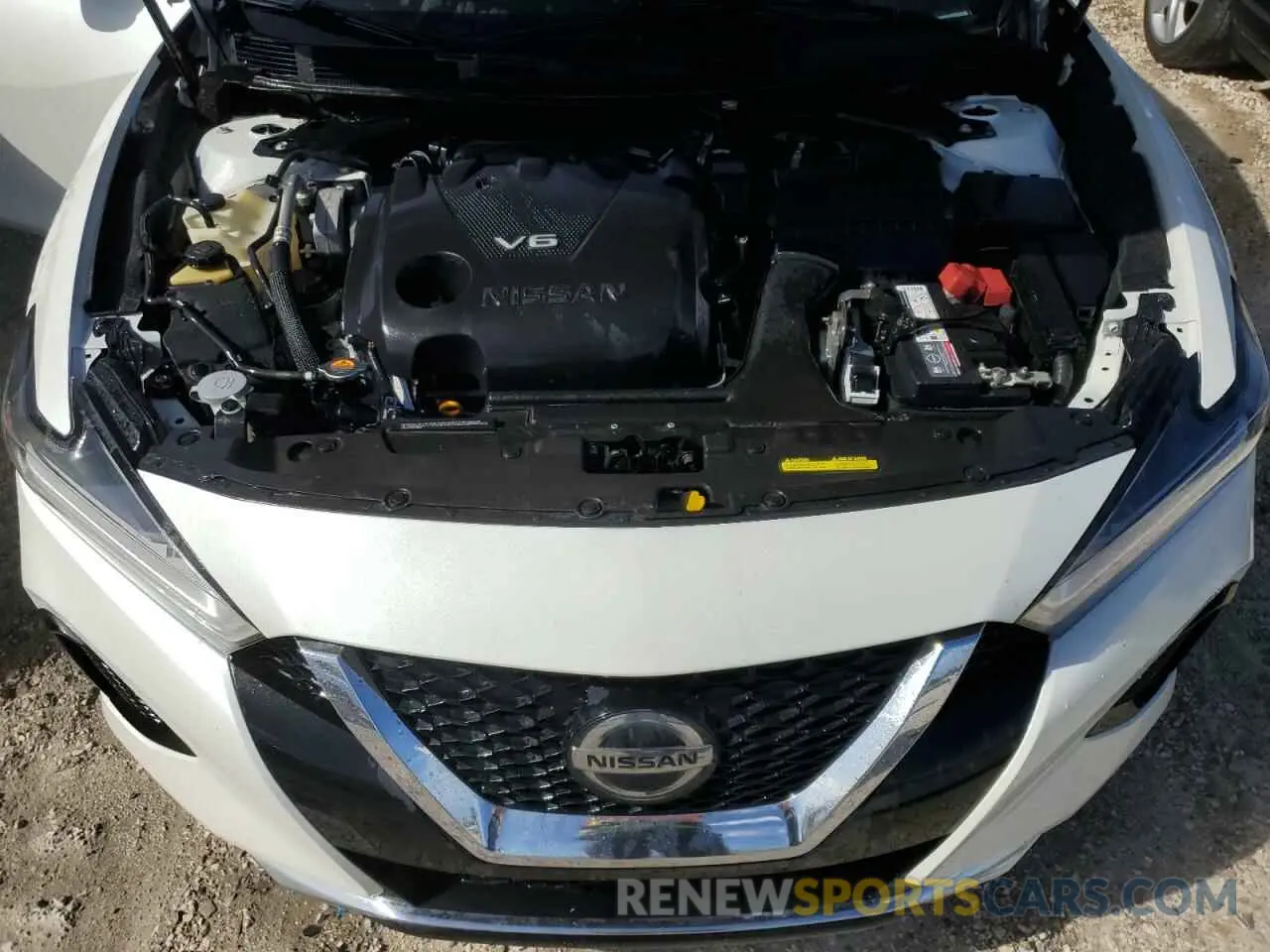 11 fotografías del automóvil dañado 1N4AA6DV1LC383692 NISSAN MAXIMA 2020