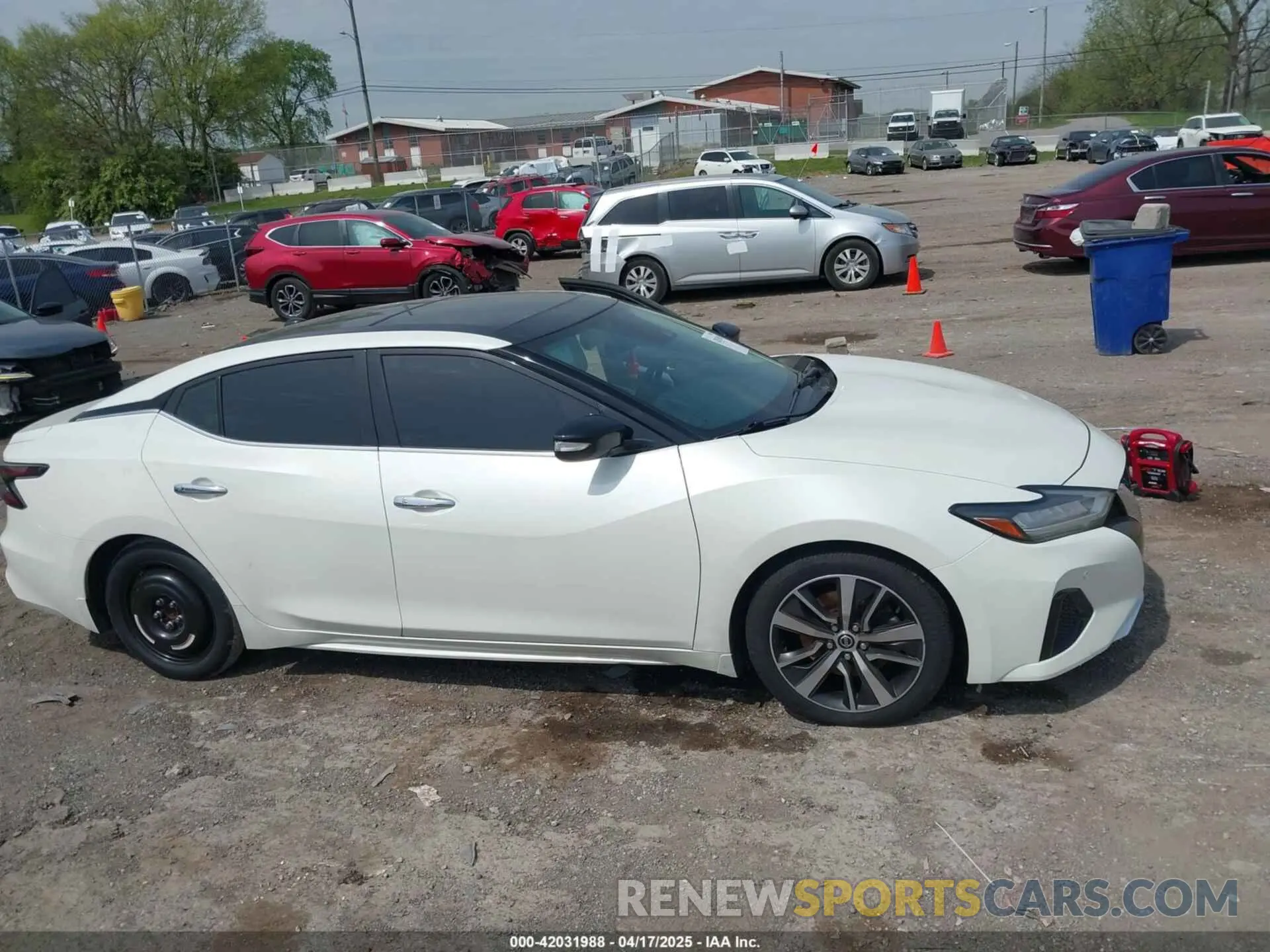 13 fotografías del automóvil dañado 1N4AA6DV2LC380011 NISSAN MAXIMA 2020