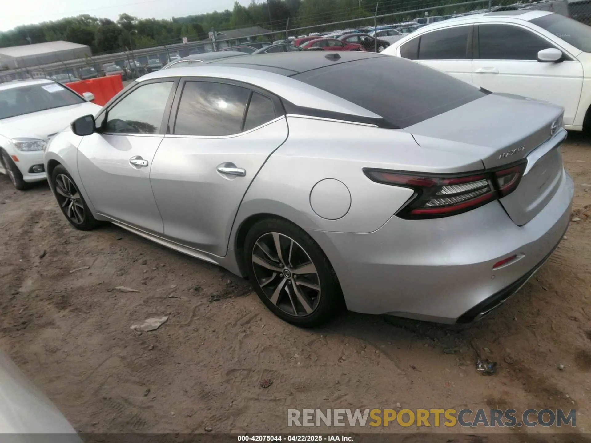 3 fotografías del automóvil dañado 1N4AA6DV3LC360625 NISSAN MAXIMA 2020