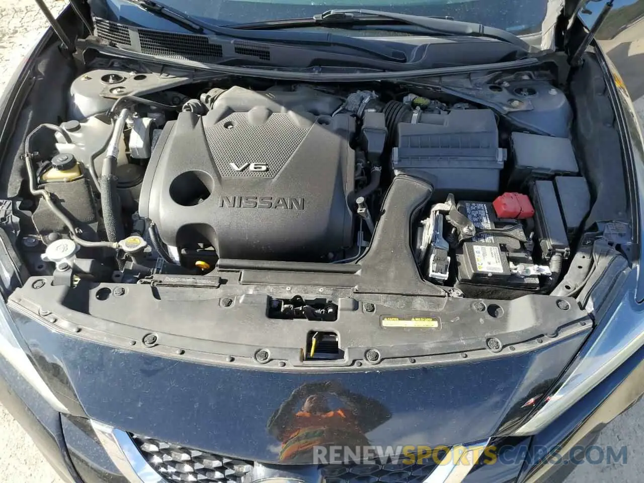11 fotografías del automóvil dañado 1N4AA6DV4LC374050 NISSAN MAXIMA 2020
