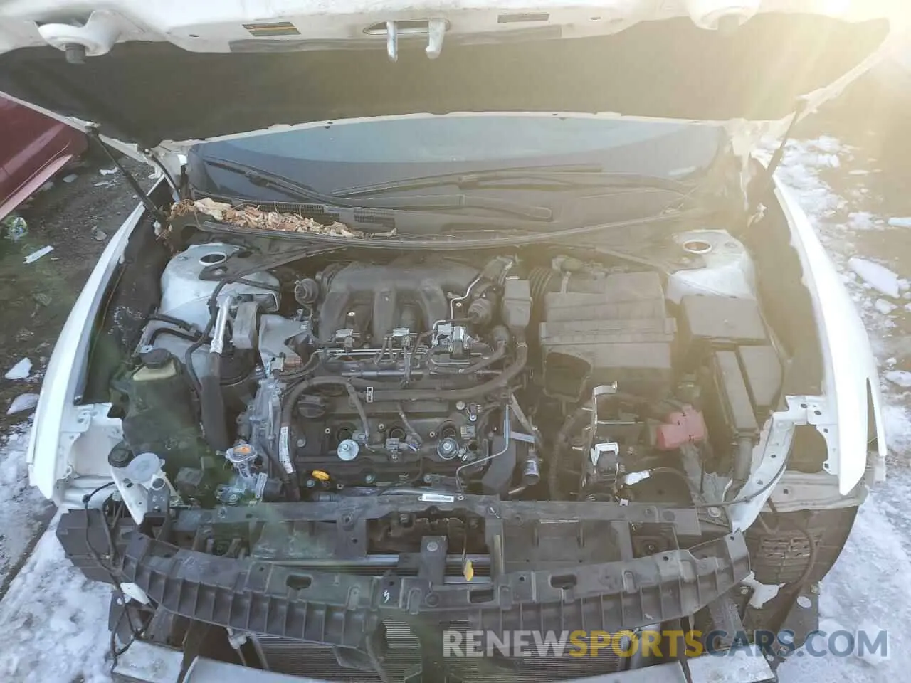 11 fotografías del automóvil dañado 1N4AA6EV7LC385655 NISSAN MAXIMA 2020
