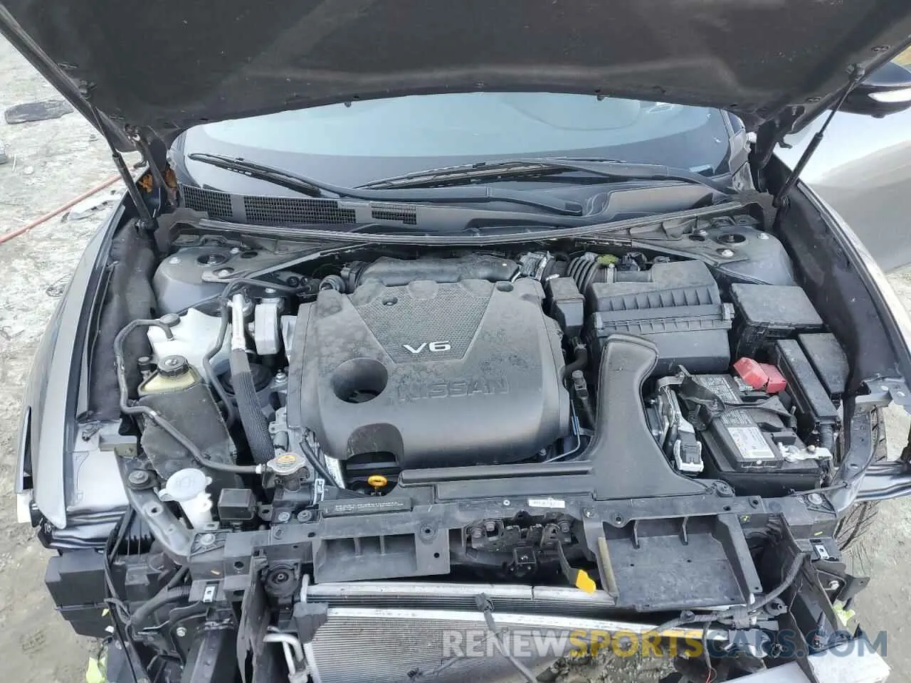 11 fotografías del automóvil dañado 1N4AA6EV8LC376916 NISSAN MAXIMA 2020