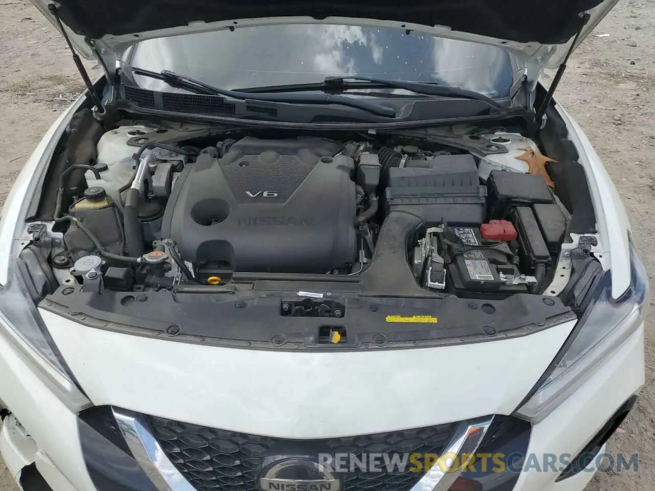 11 fotografías del automóvil dañado 1N4AA6EV8LC385227 NISSAN MAXIMA 2020