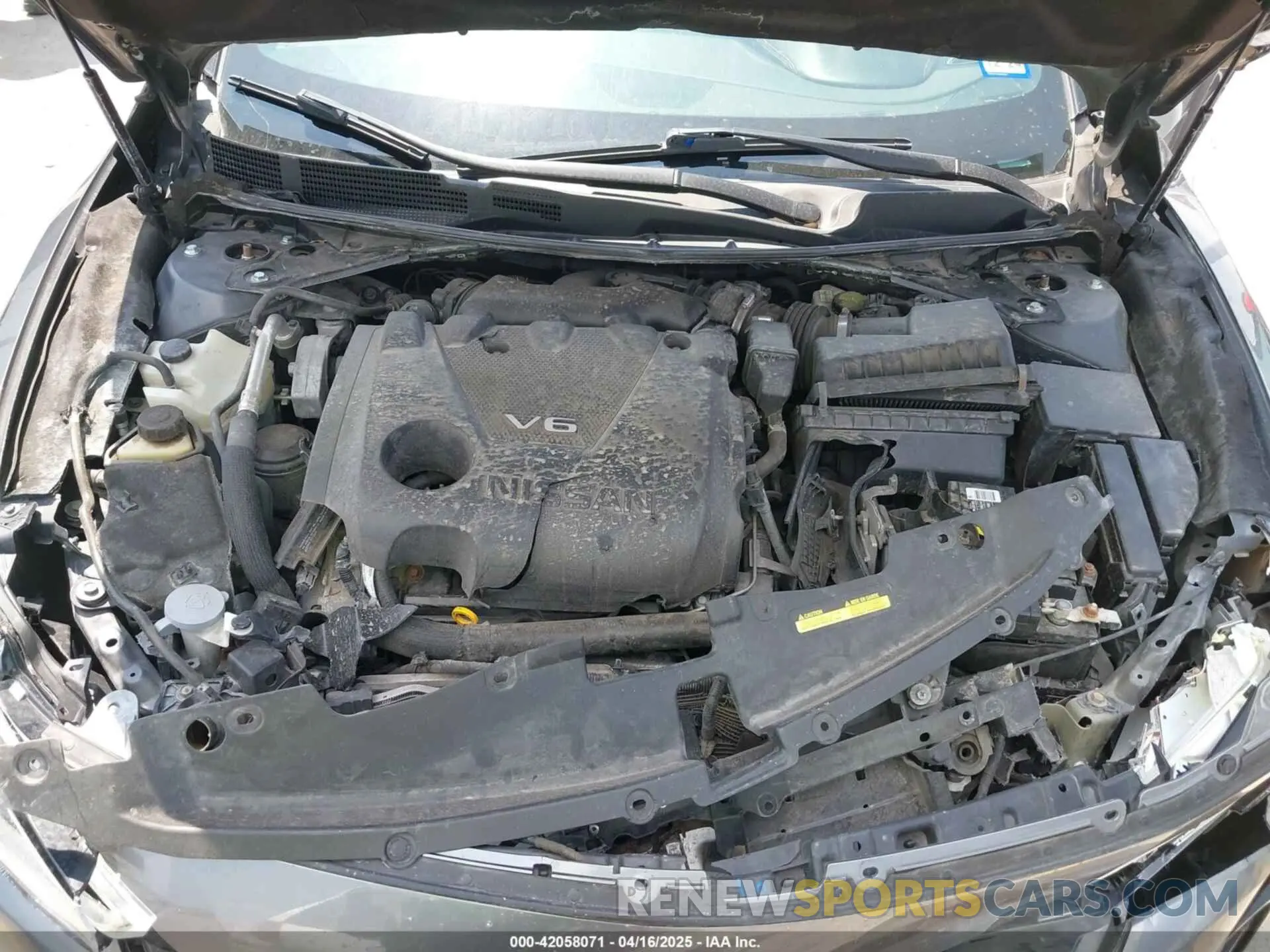 10 fotografías del automóvil dañado 1N4AA6EVXLC383592 NISSAN MAXIMA 2020