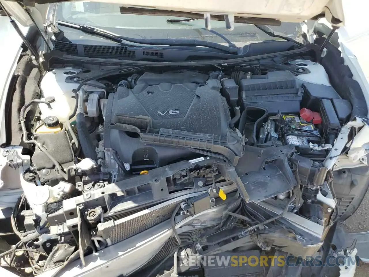 11 fotografías del automóvil dañado 1N4AA6FV8LC381418 NISSAN MAXIMA 2020