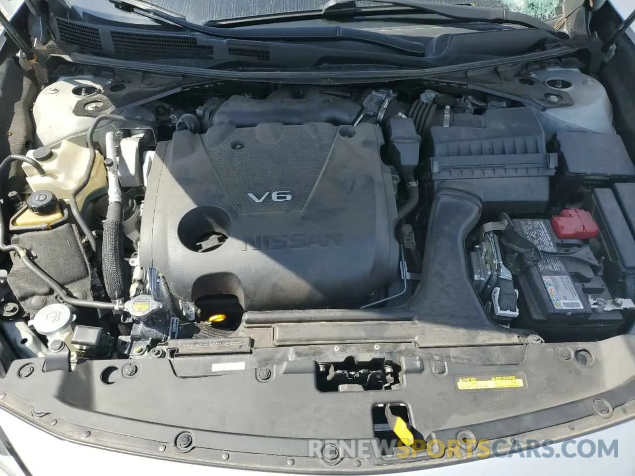 11 fotografías del automóvil dañado 1N4AA6CV1MC513232 NISSAN MAXIMA 2021