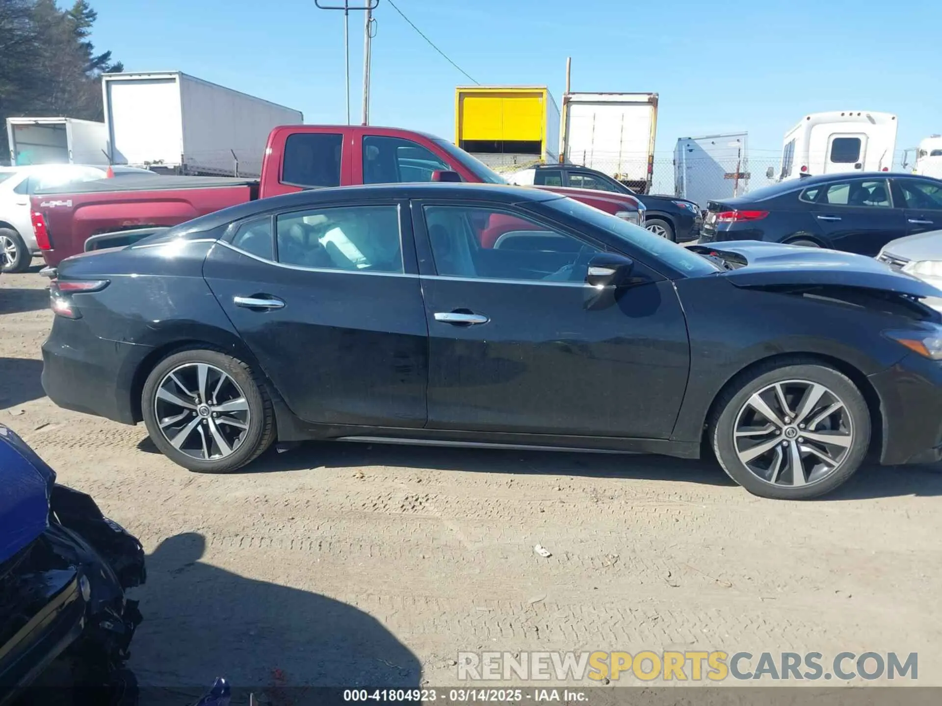13 fotografías del automóvil dañado 1N4AA6CV1MC513733 NISSAN MAXIMA 2021