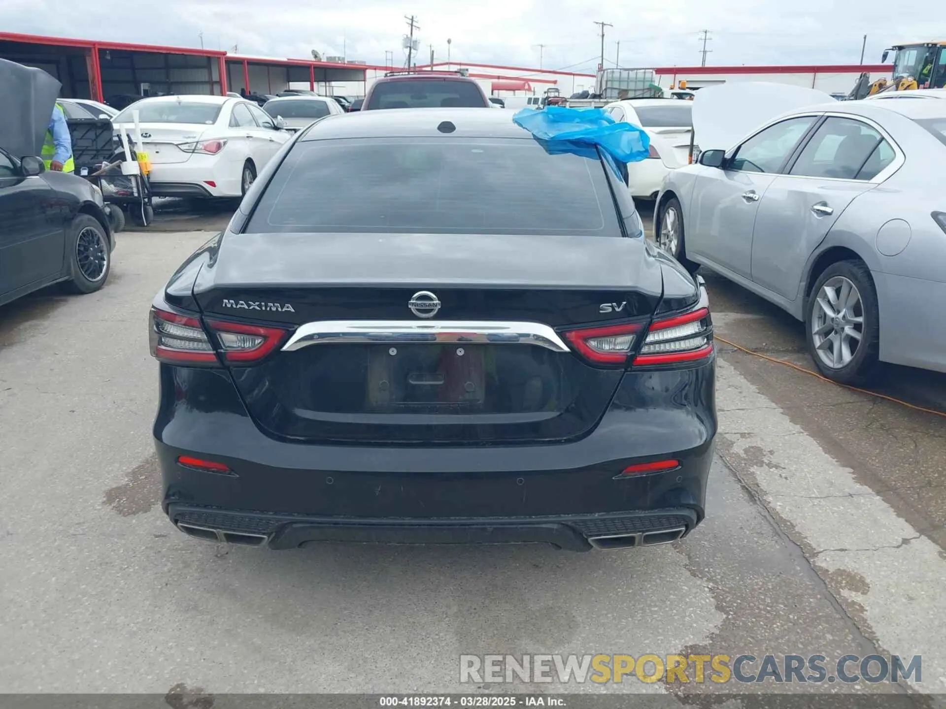 16 fotografías del automóvil dañado 1N4AA6CV2MC508525 NISSAN MAXIMA 2021