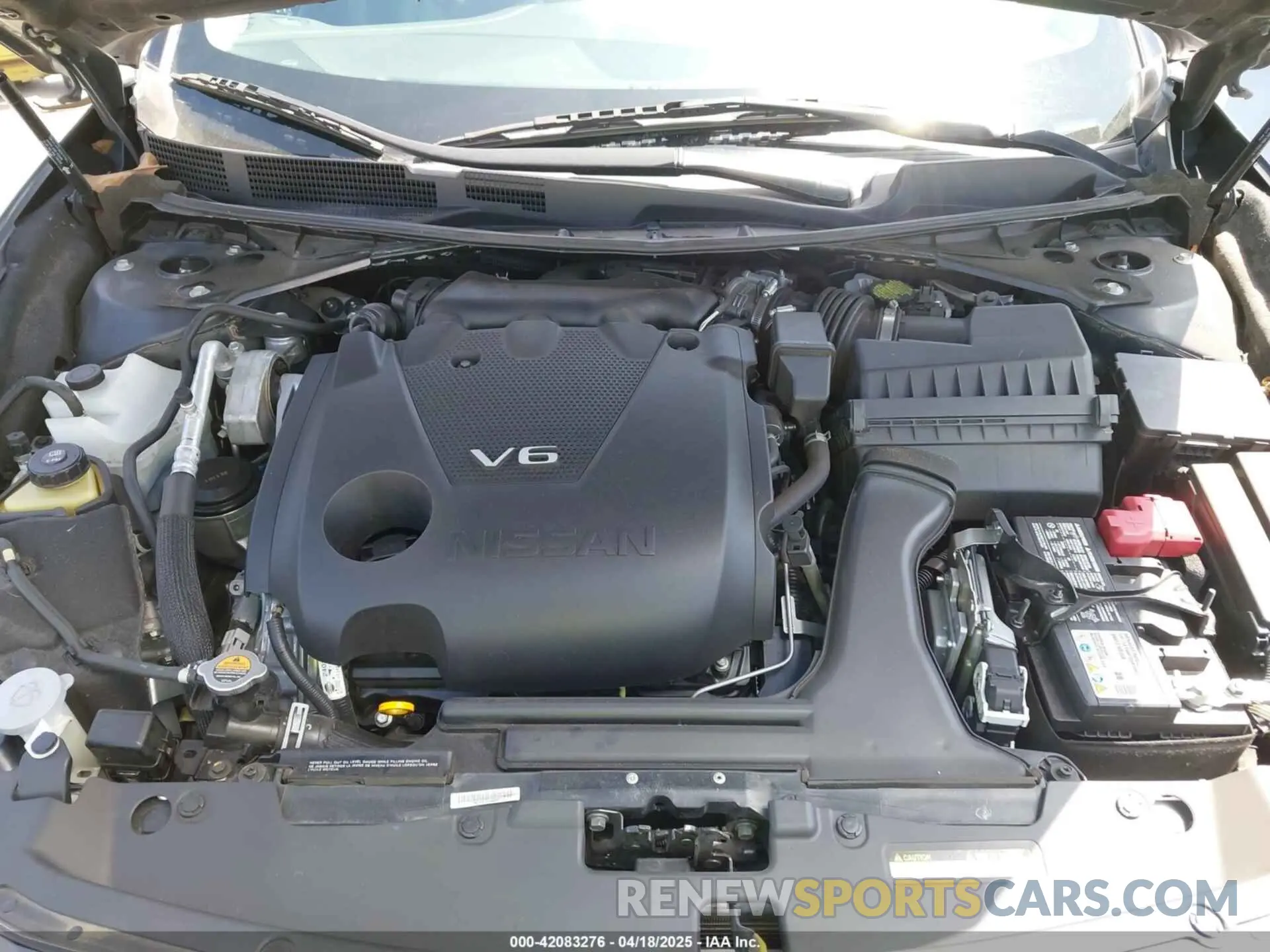 10 fotografías del automóvil dañado 1N4AA6CV3MC506783 NISSAN MAXIMA 2021