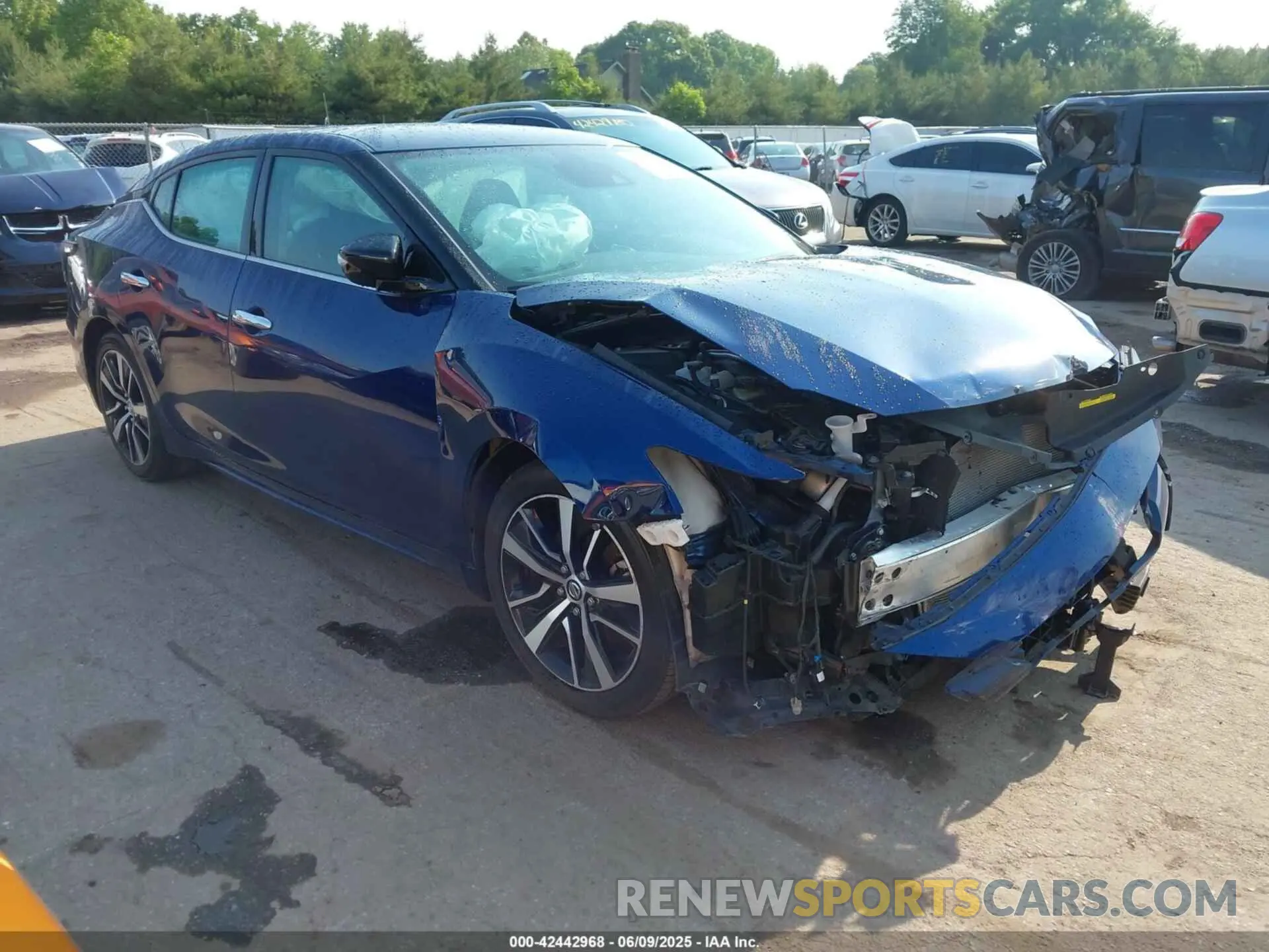 1 fotografías del automóvil dañado 1N4AA6CV4MC501236 NISSAN MAXIMA 2021