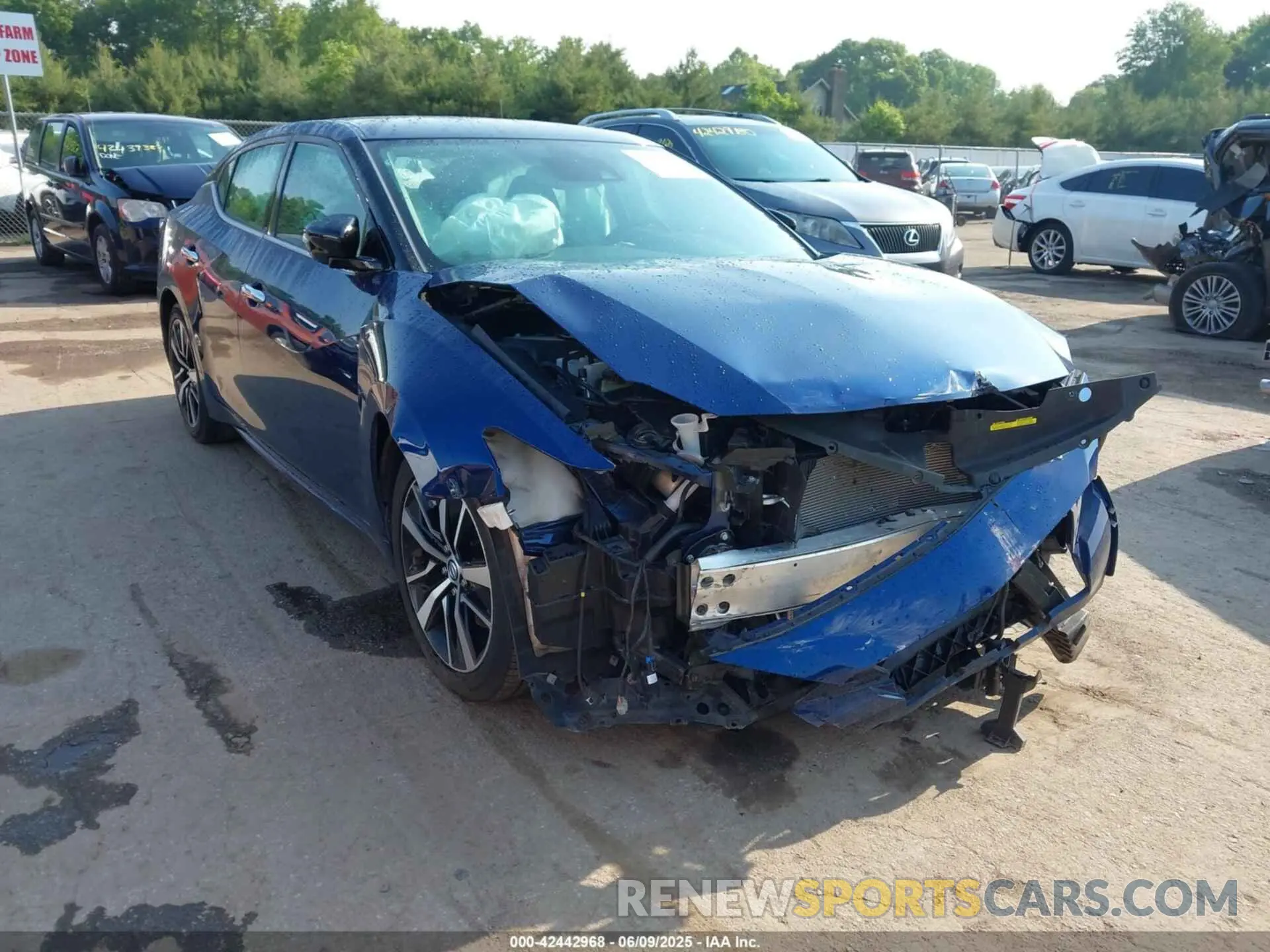 6 fotografías del automóvil dañado 1N4AA6CV4MC501236 NISSAN MAXIMA 2021