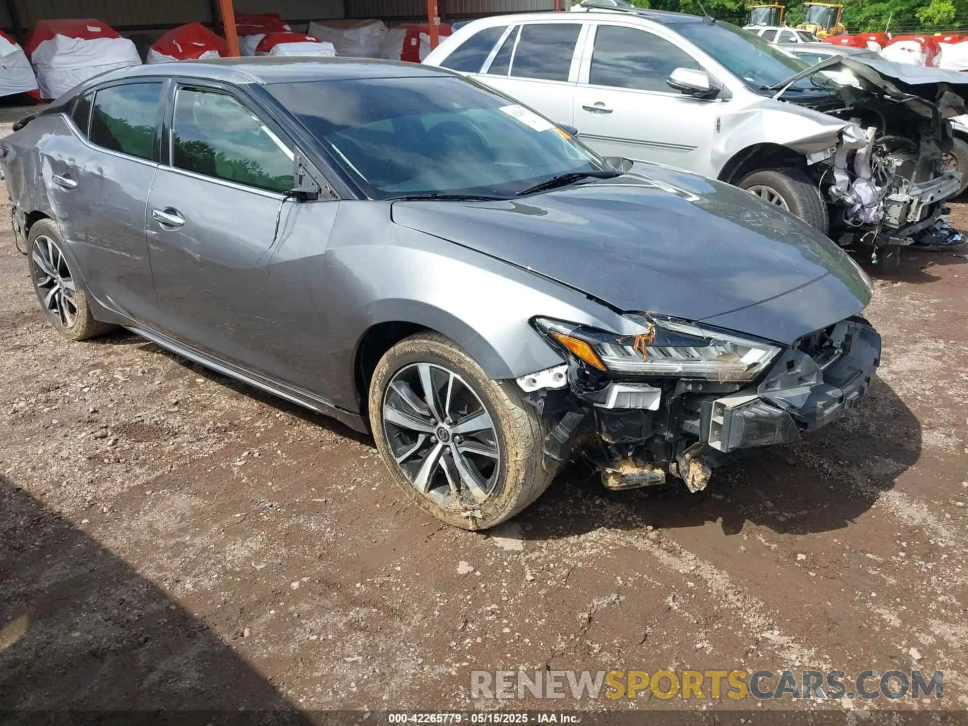 1 fotografías del automóvil dañado 1N4AA6CV4MC503018 NISSAN MAXIMA 2021