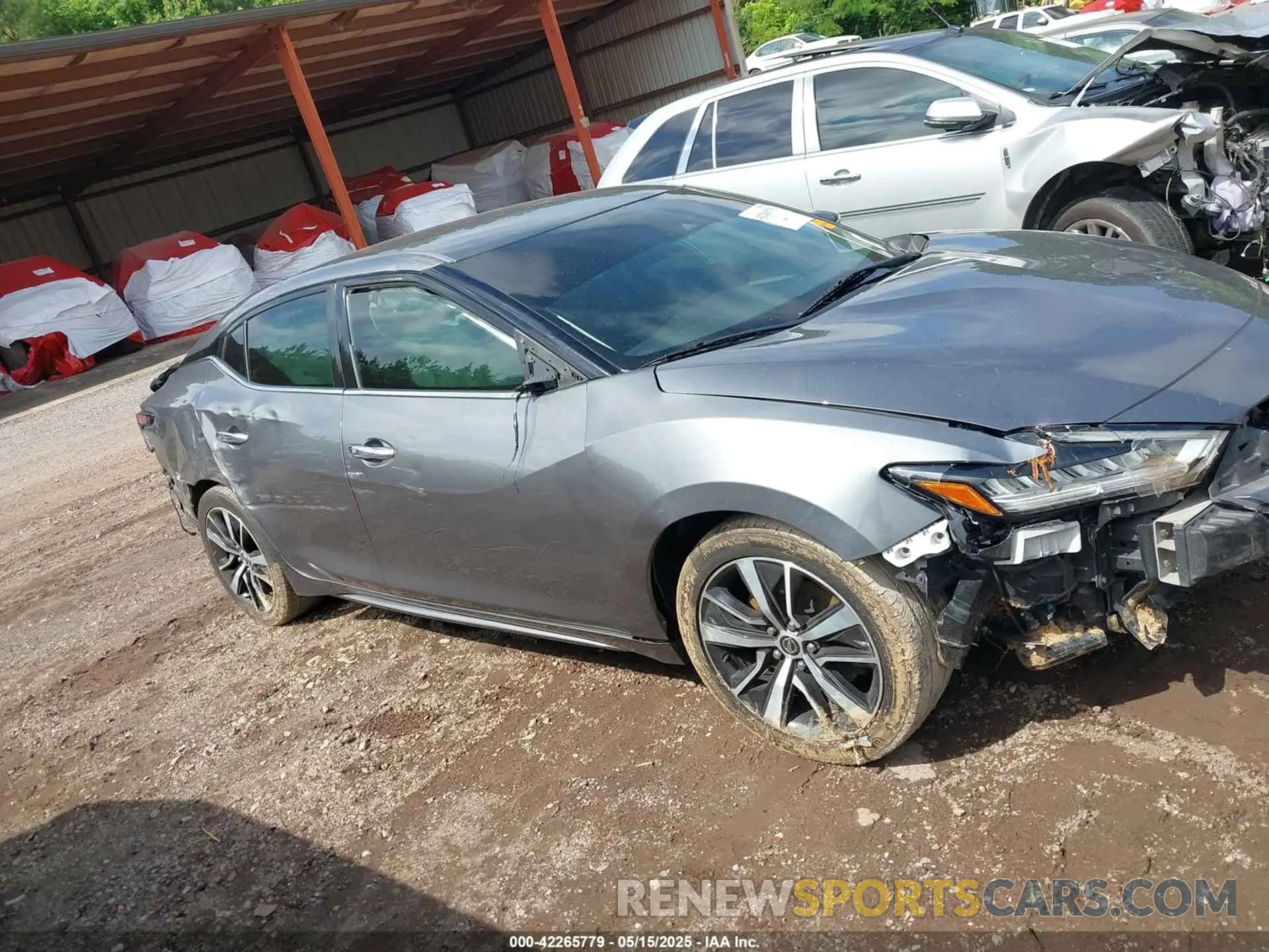 12 fotografías del automóvil dañado 1N4AA6CV4MC503018 NISSAN MAXIMA 2021