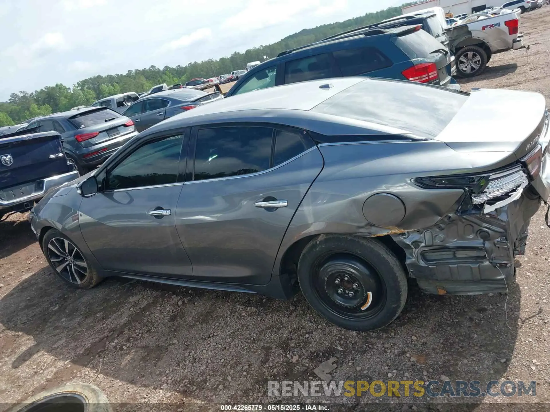 13 fotografías del automóvil dañado 1N4AA6CV4MC503018 NISSAN MAXIMA 2021