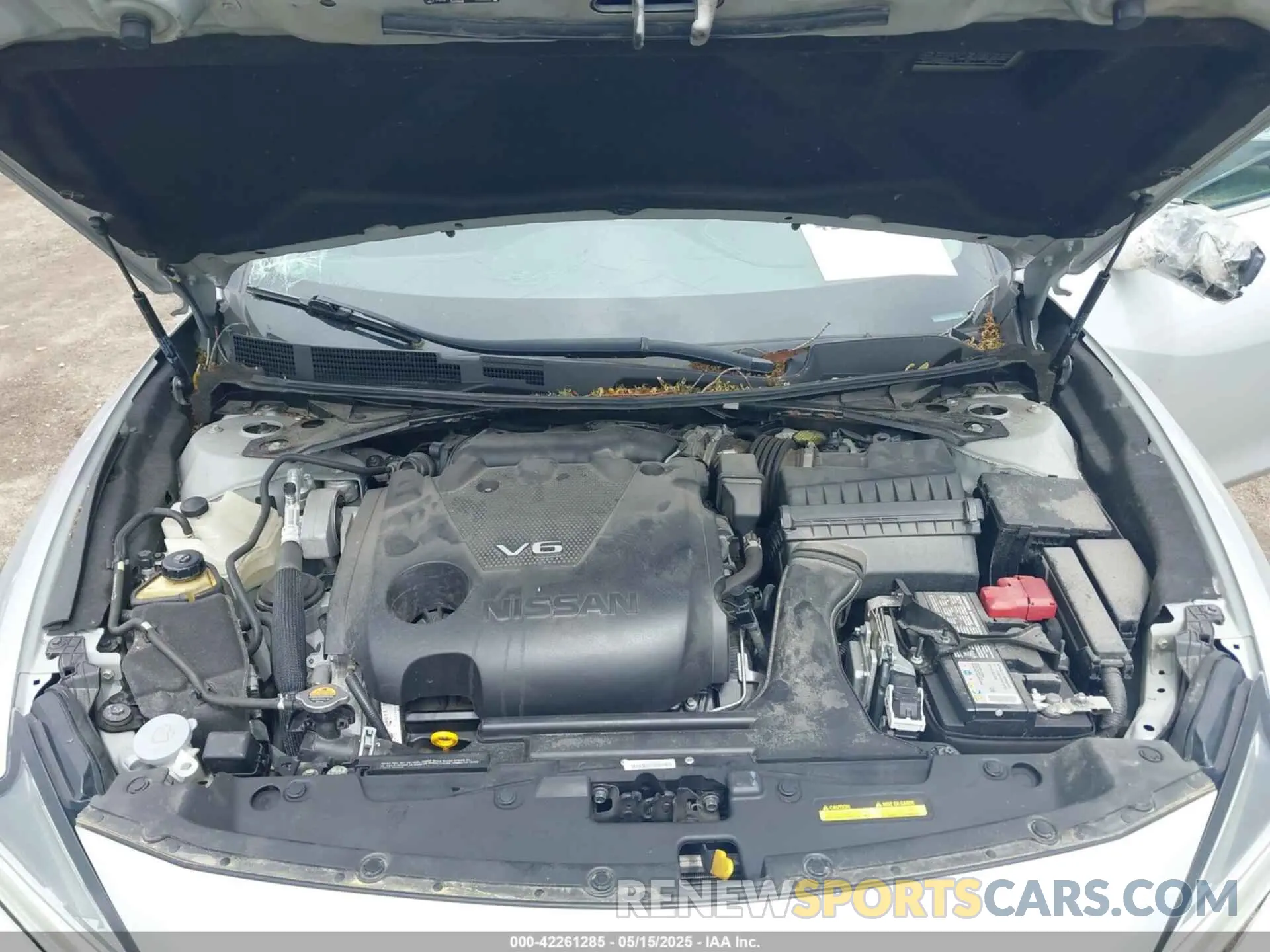 10 fotografías del automóvil dañado 1N4AA6CV4MC513919 NISSAN MAXIMA 2021