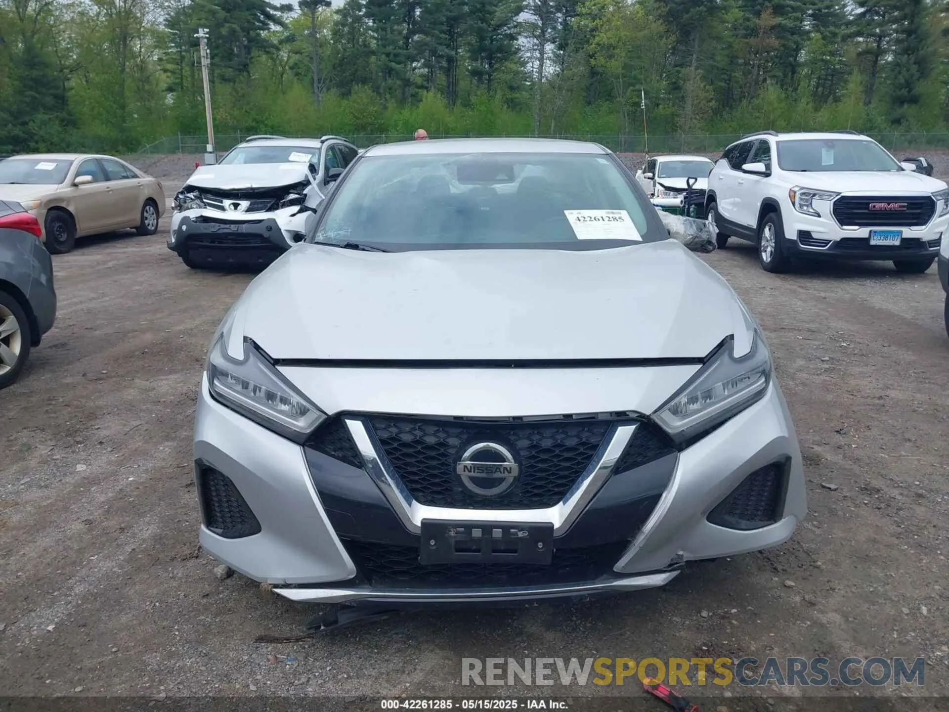 13 fotografías del automóvil dañado 1N4AA6CV4MC513919 NISSAN MAXIMA 2021