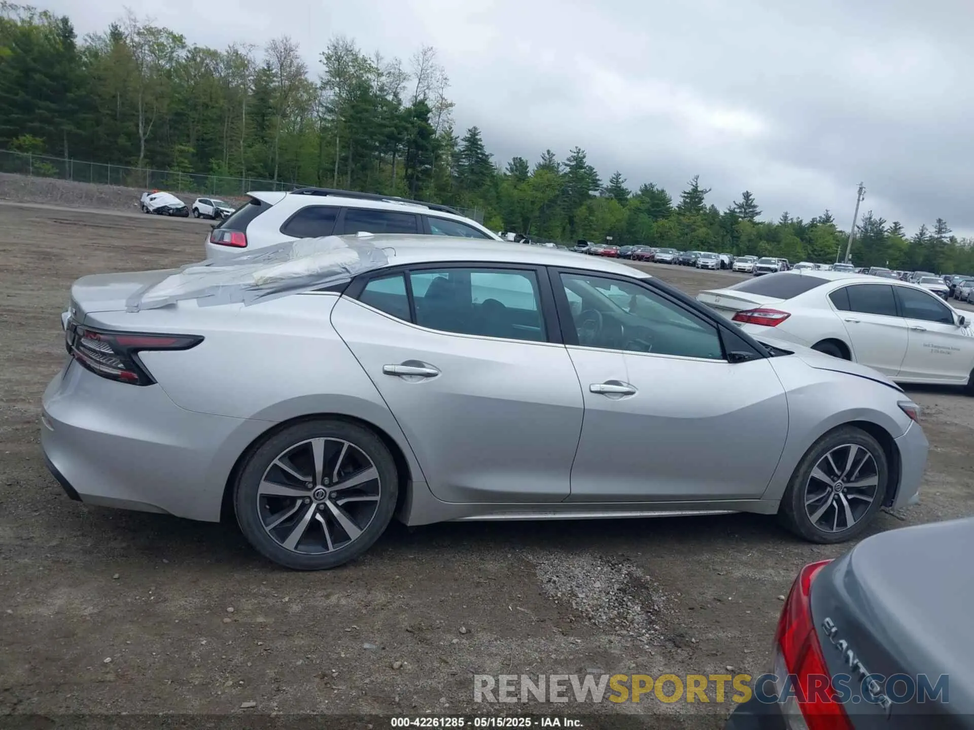 14 fotografías del automóvil dañado 1N4AA6CV4MC513919 NISSAN MAXIMA 2021